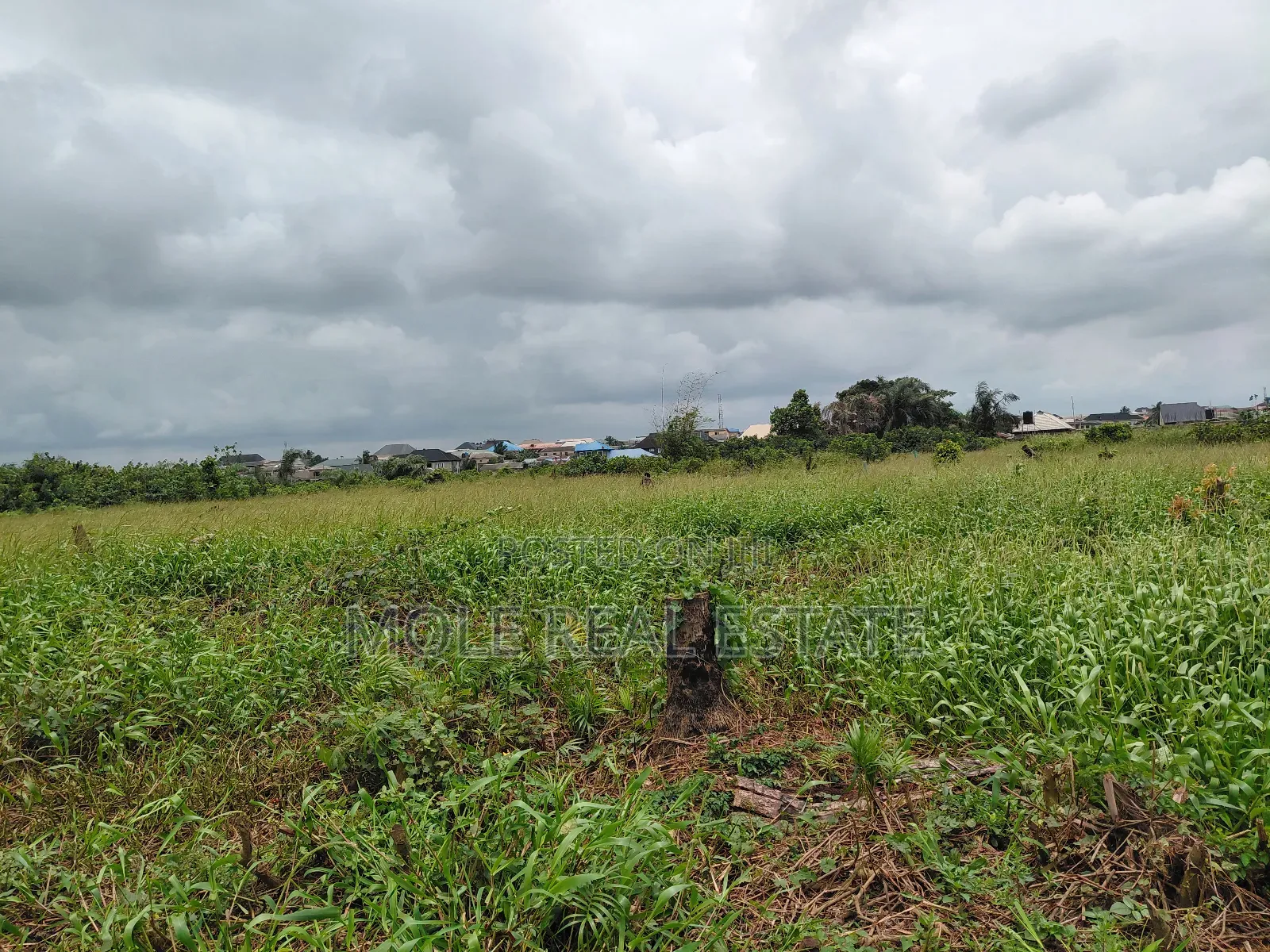 120ft / 240ft ( 4 Plots)Facing 2 Streets Baptist B/S Ijagemo New Rd