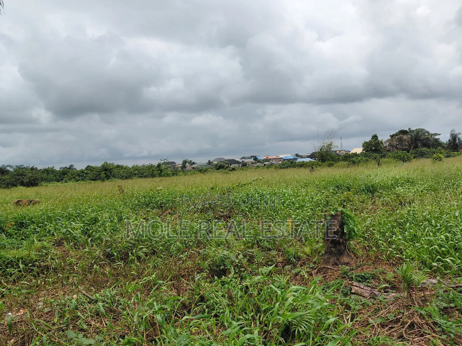 120ft / 240ft ( 4 Plots)Facing 2 Streets Baptist B/S Ijagemo New Rd