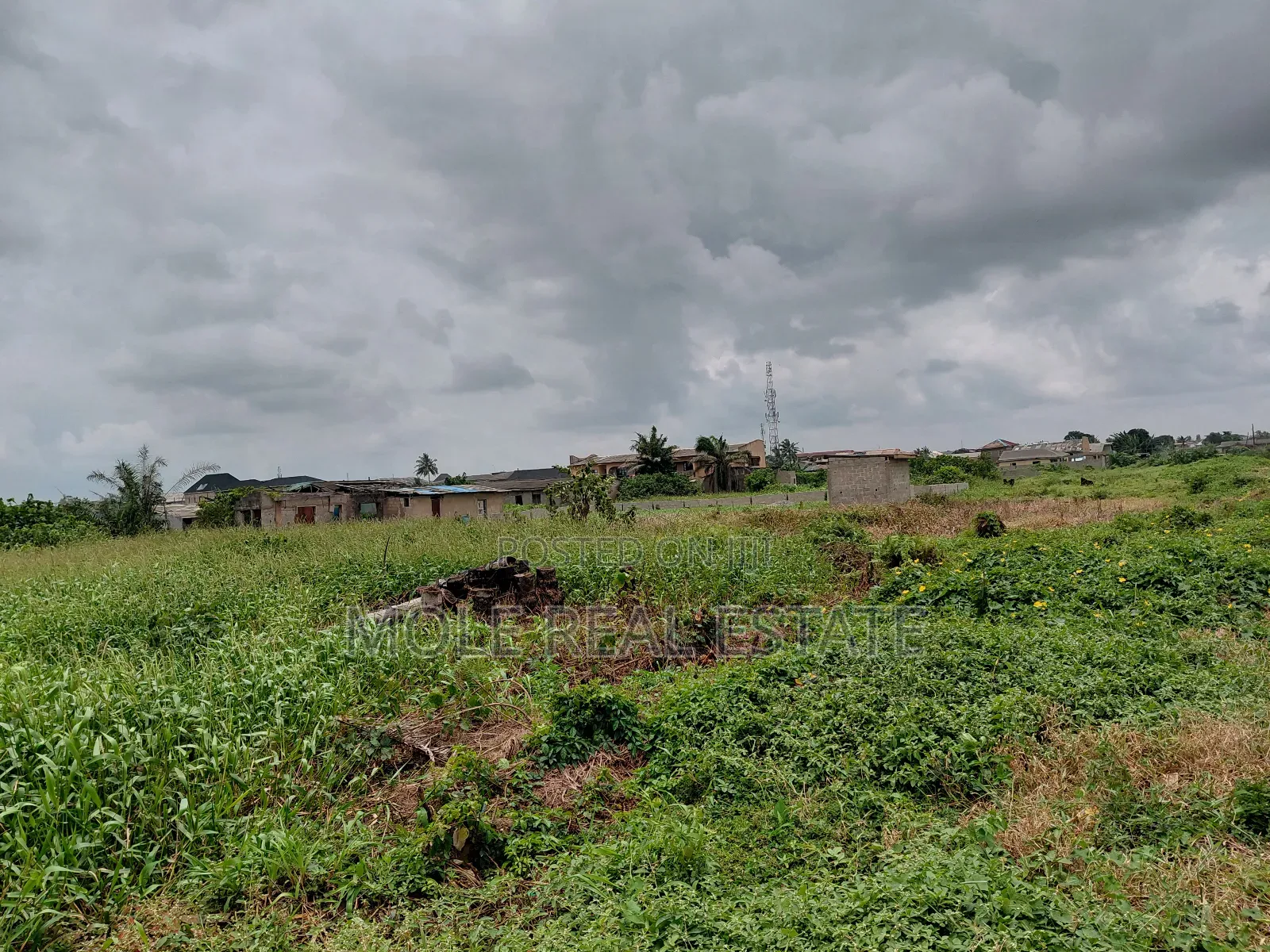 Distress Sale 22ft by 80ft Plot Ikotun Iguando