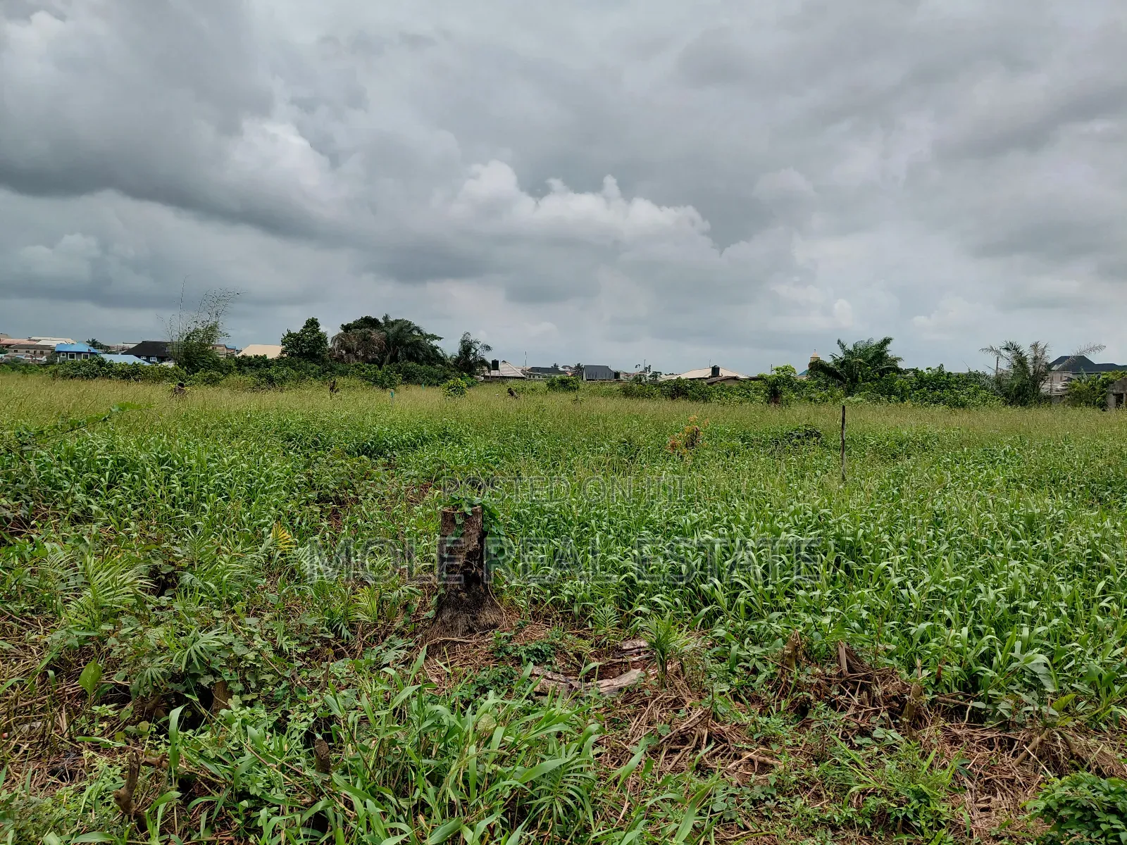 30ft by 120ft Ikotun Iguando Rd Close to the Road