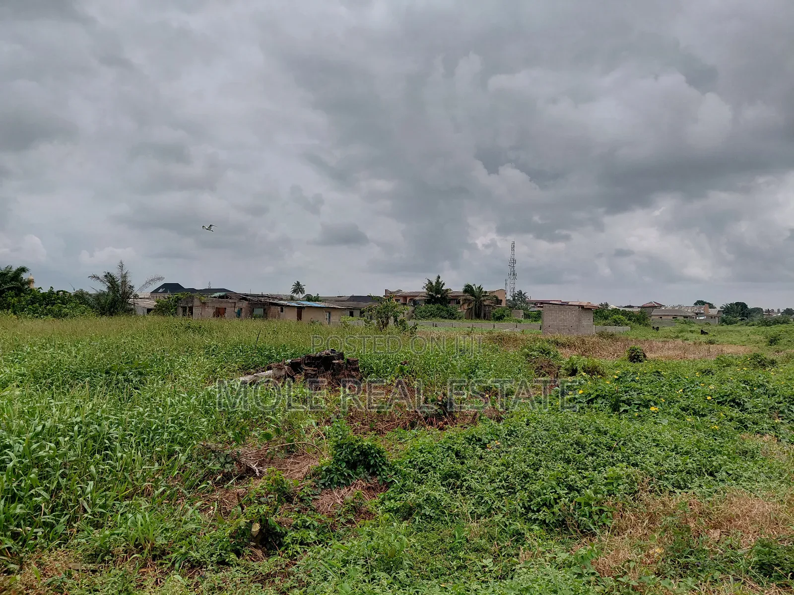 30ft by 120t Half Plot Faith Bustop Ijegemo Near New Rd