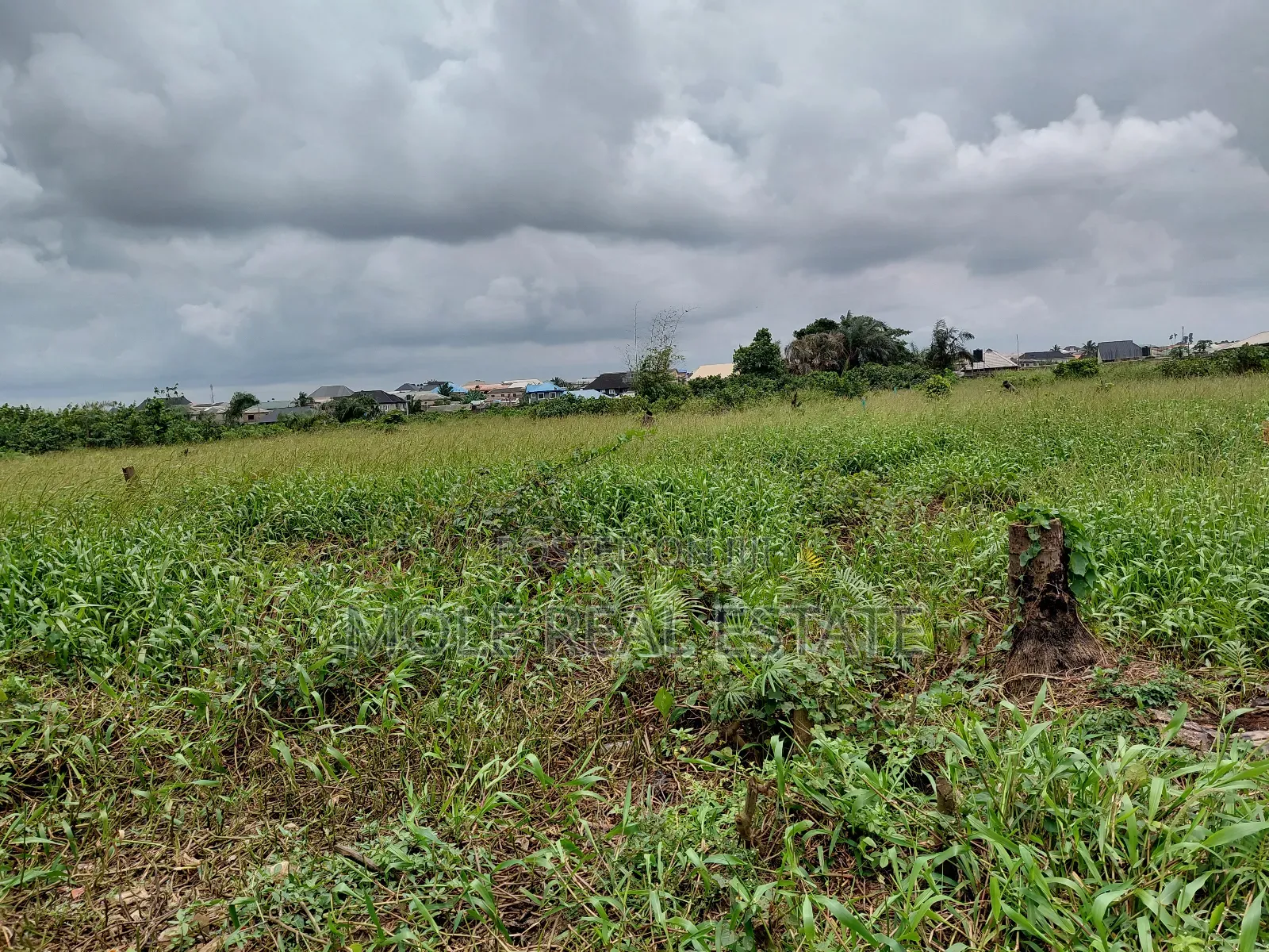 60ft by 120ft Plot of Land Faith Bustop Ijegemo Ojo Lcda
