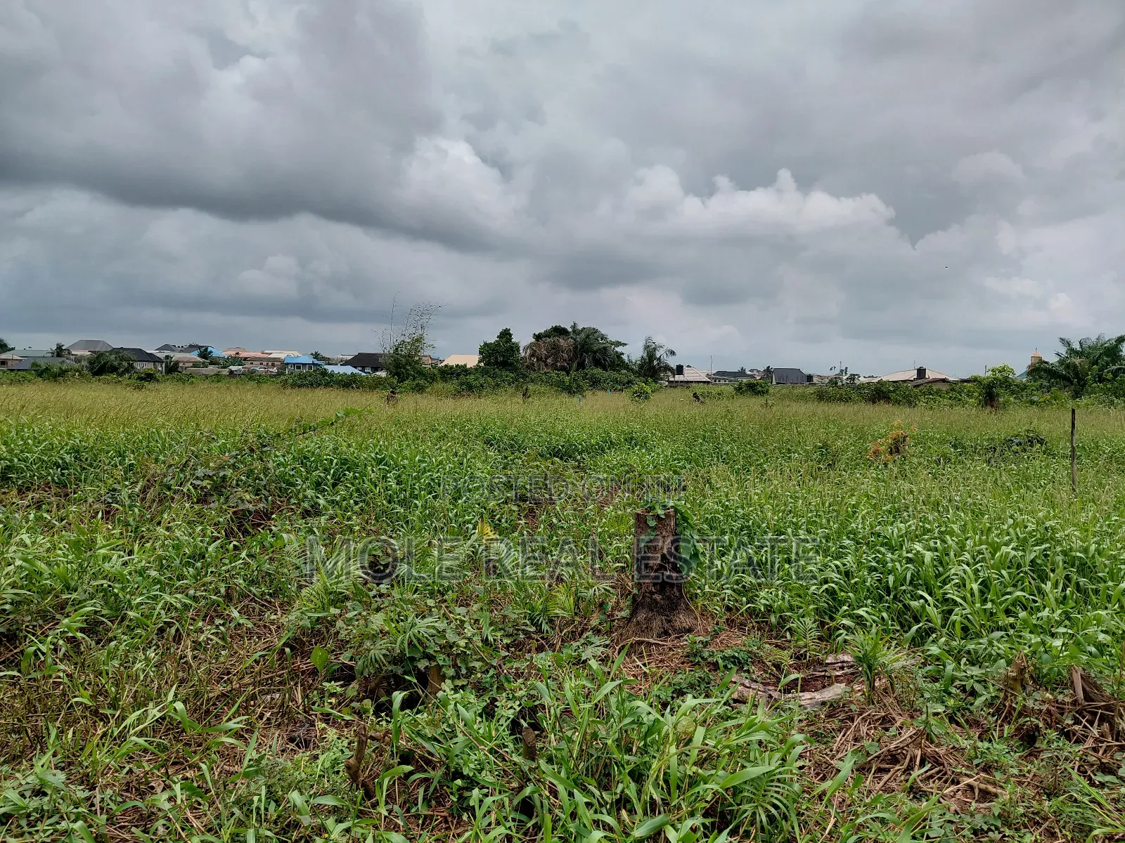 60ft by 120ft Plot of Land Faith Bustop Ijegemo Ojo Lcda