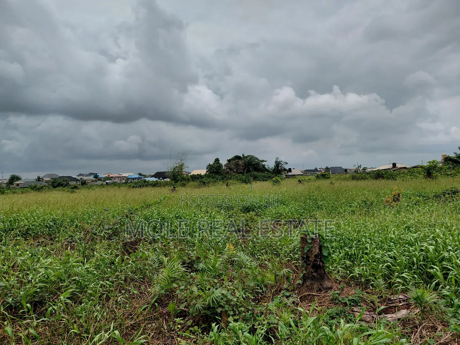 60ft by 120ft Plot of Land Faith Bustop Ijegemo Ojo Lcda
