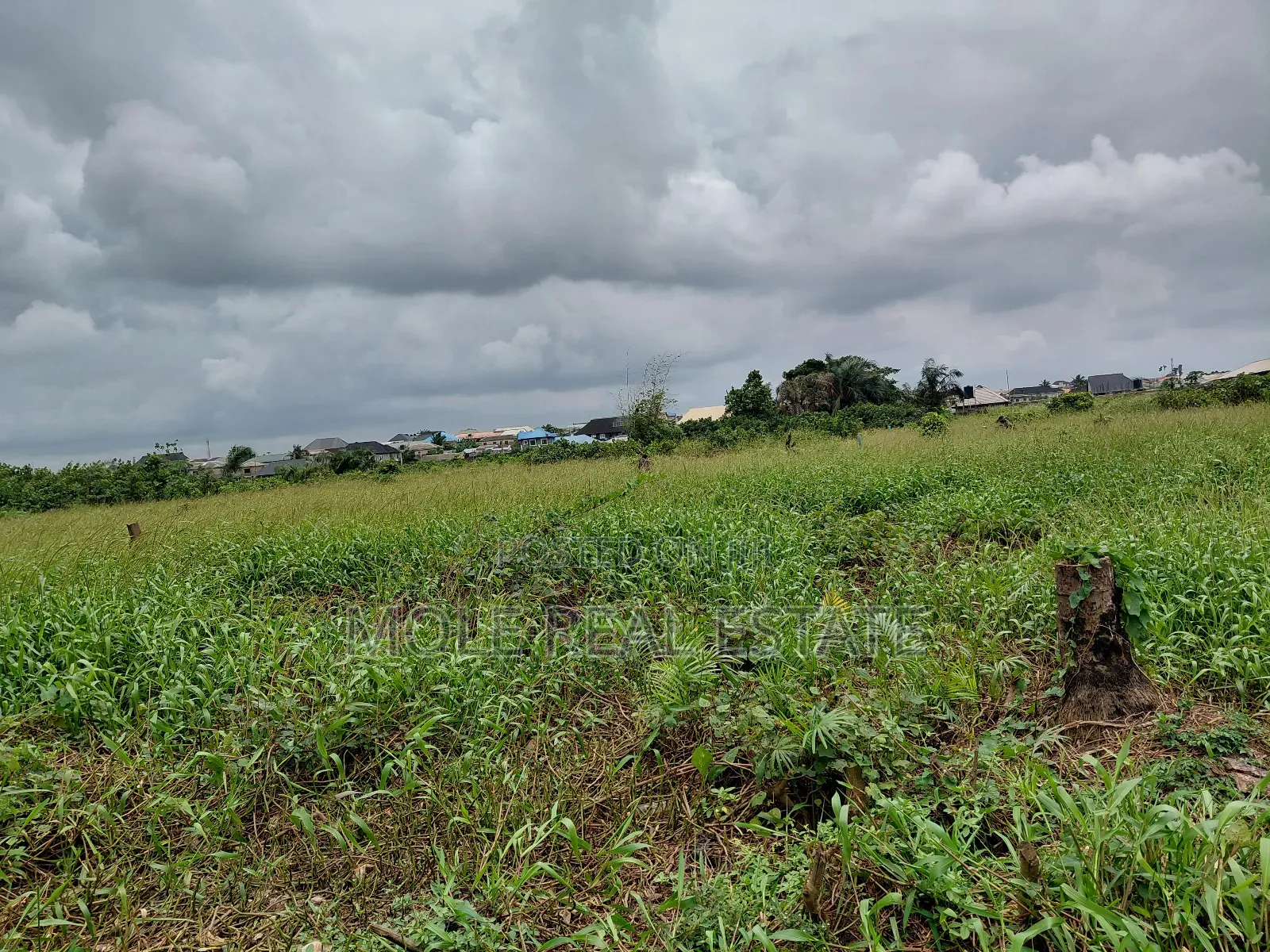 Plots Of Land Close To Road At Ijegun New Rd
