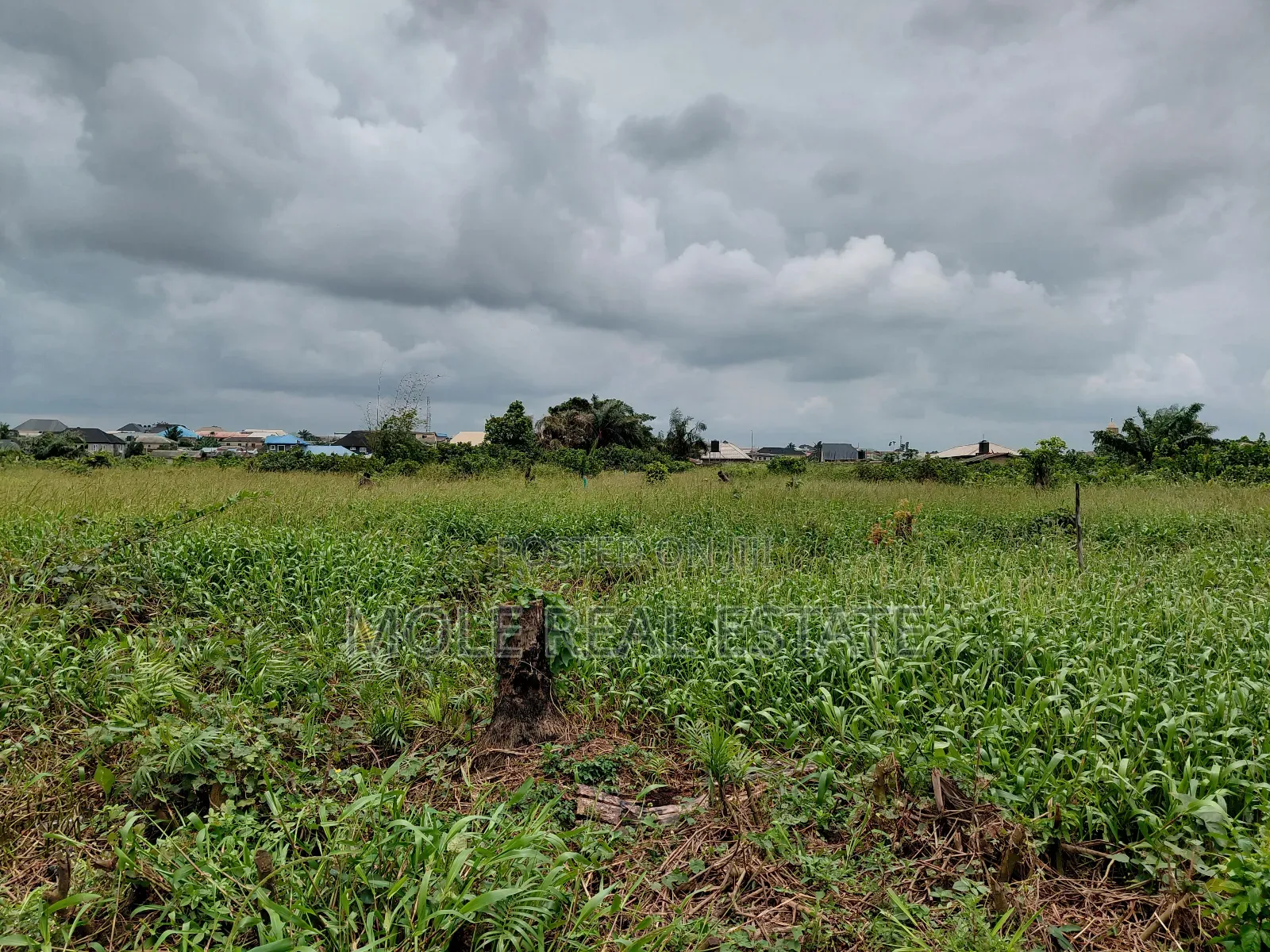Plots Of Land Close To Road At Ijegun New Rd