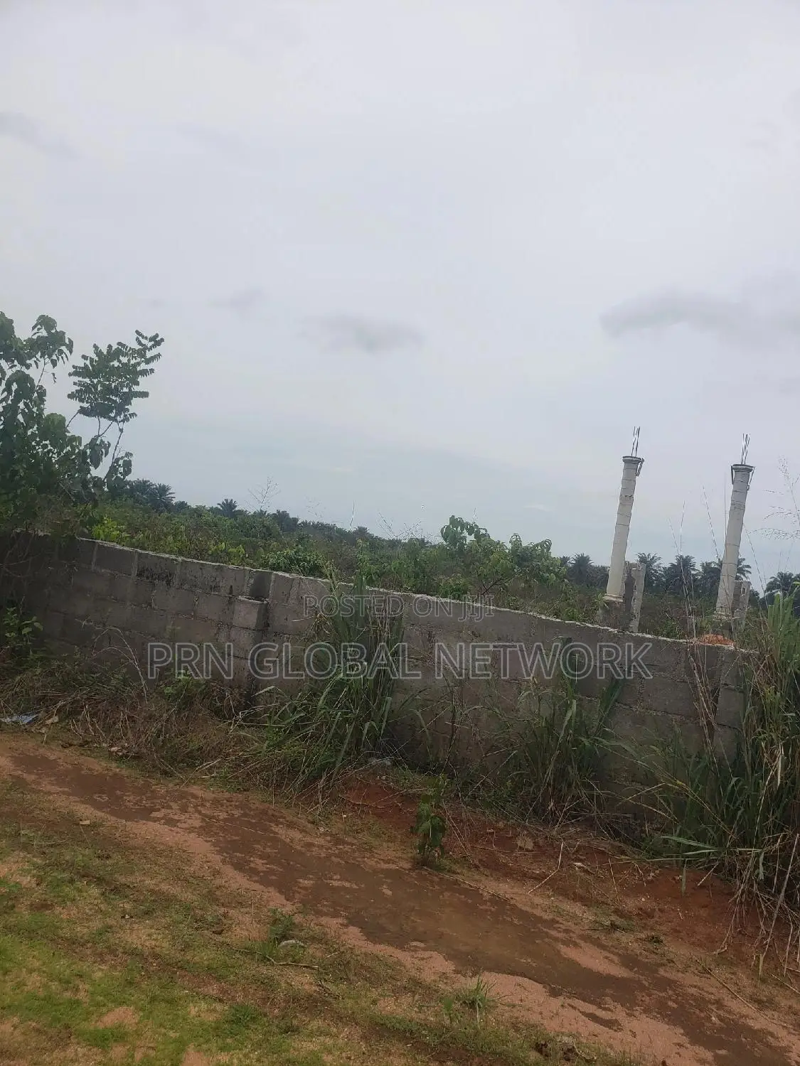 Plots Of Lands Available At Mgbirichi Waiting For A Buyer.