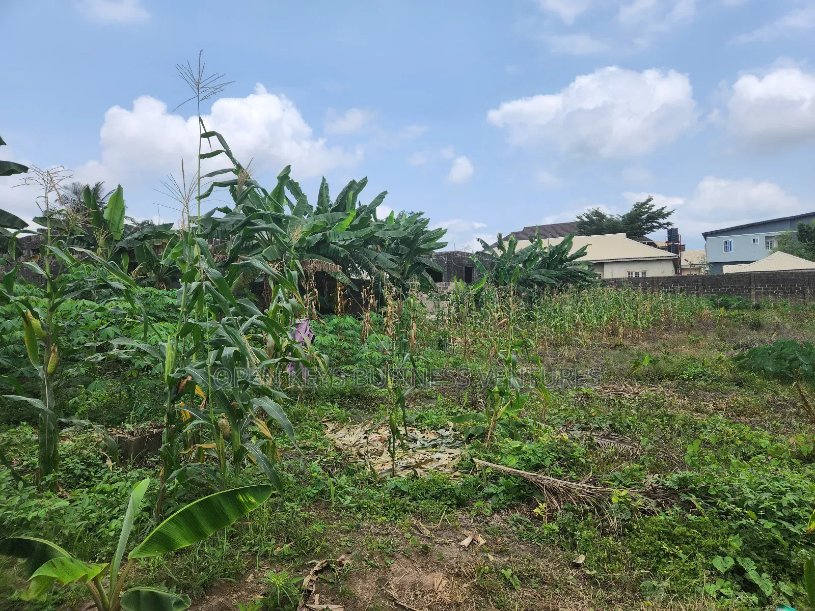 1,300sqm in Well Gated Estate of Emmanuel Estate,Iletuntun