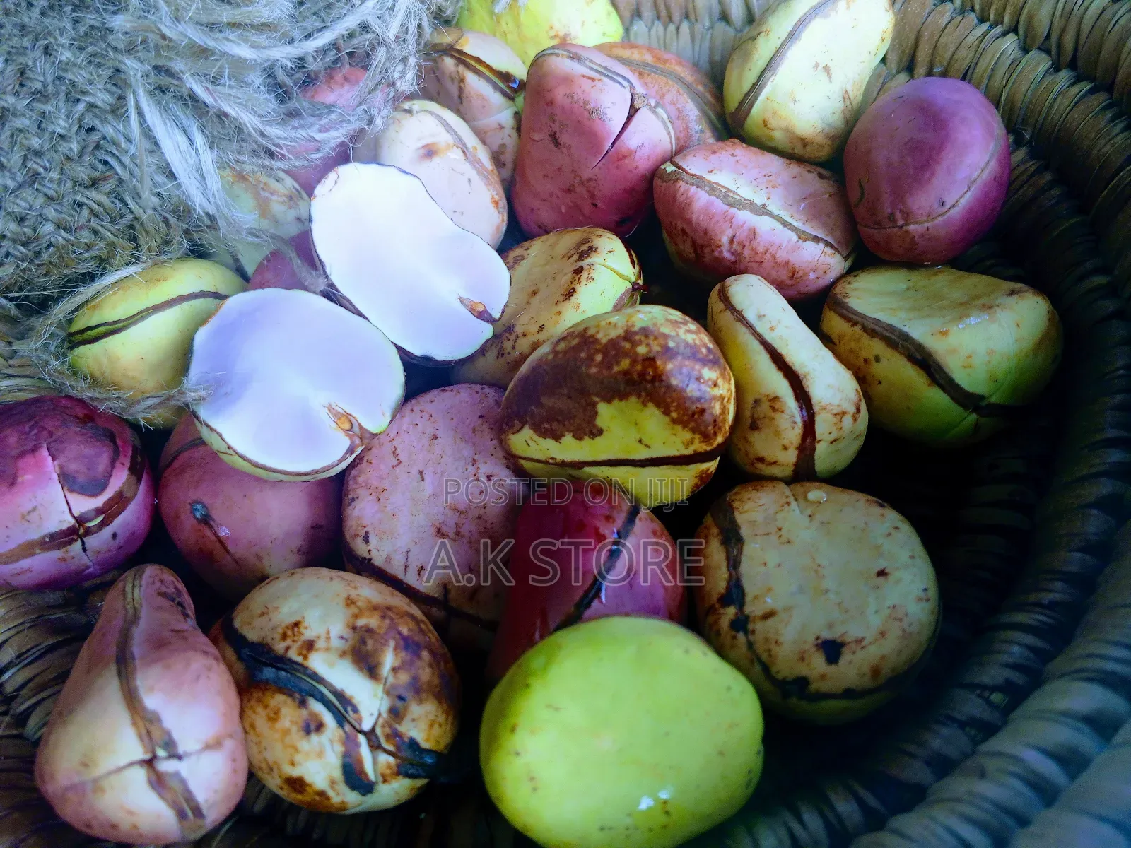 Kola Nut 5pcs