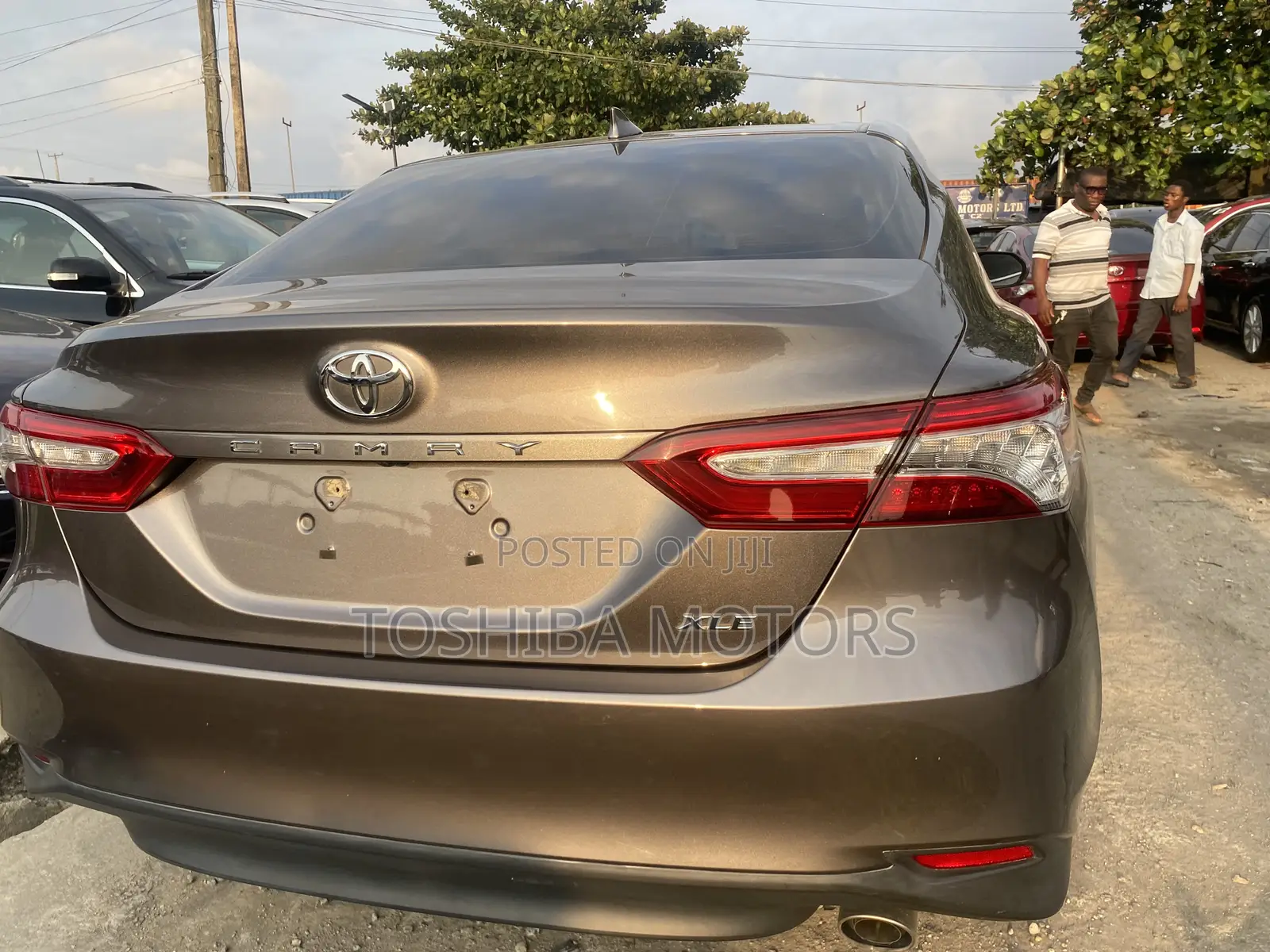 Toyota Camry XLE FWD 2020 Gray