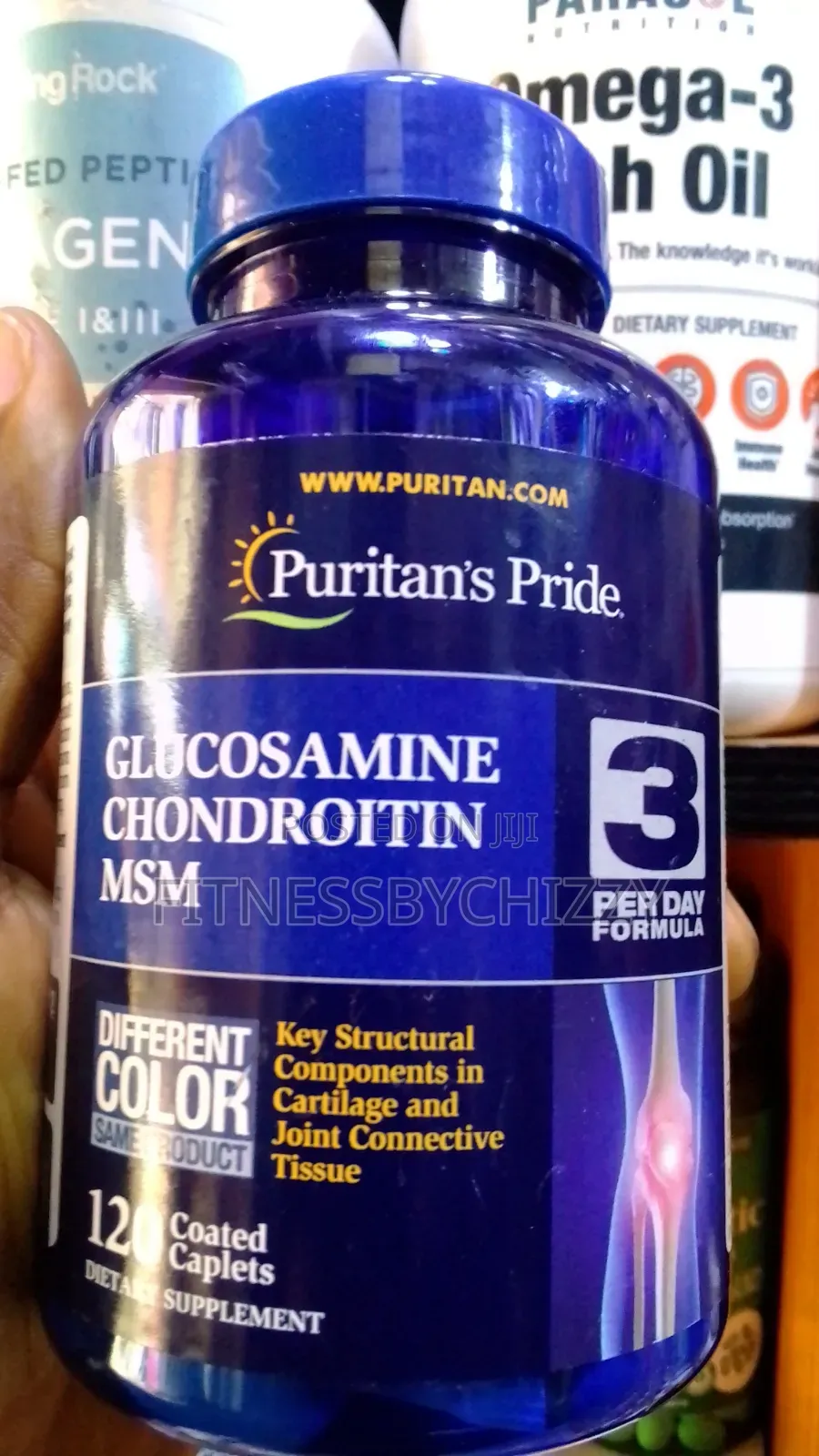 Puritan's Pride Glucosamine Chondroitin MSM X 120 Capsules