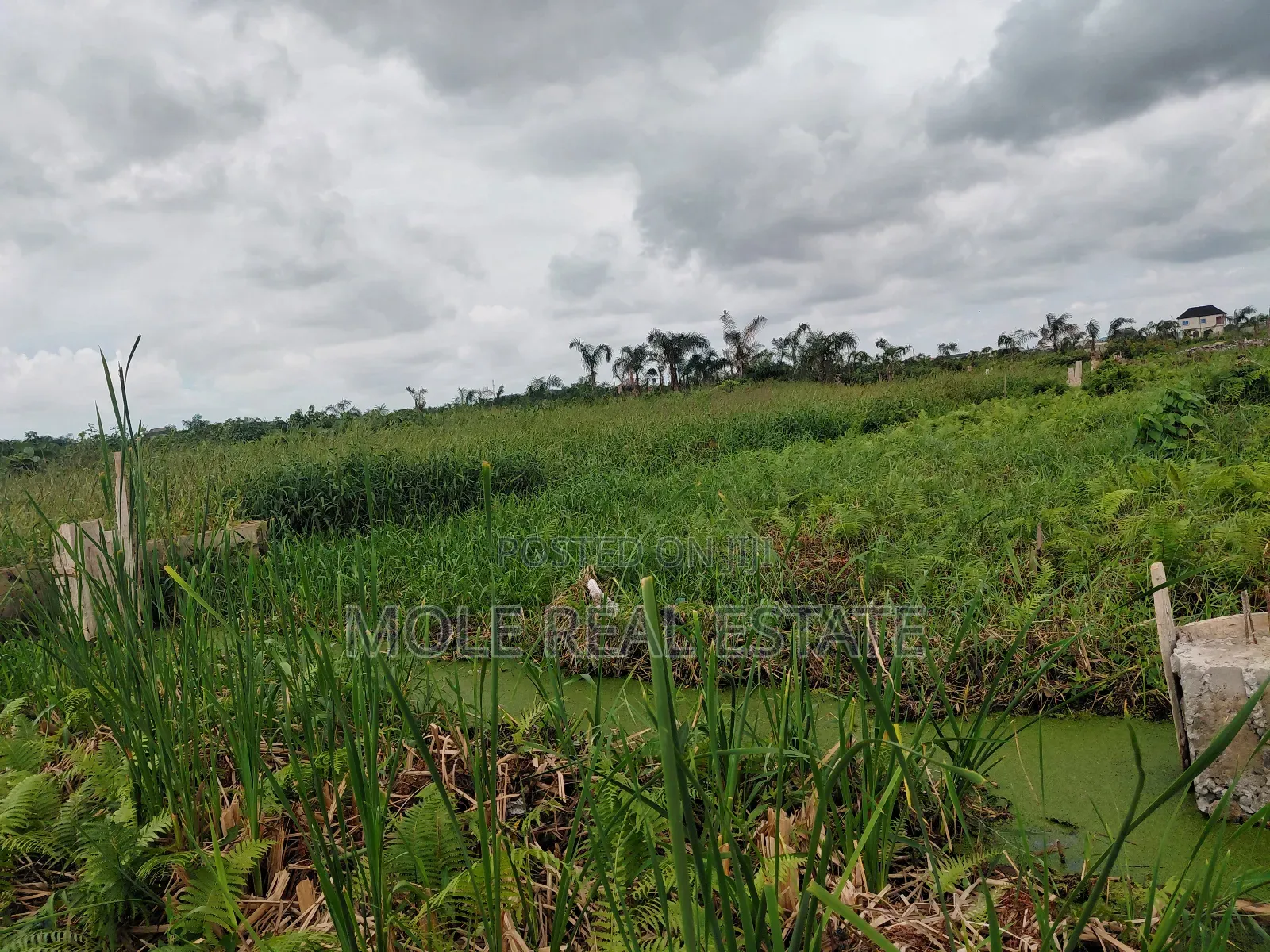 600sqm Full Plot Across Fasheun Bridge Isheri Osun Alimosh