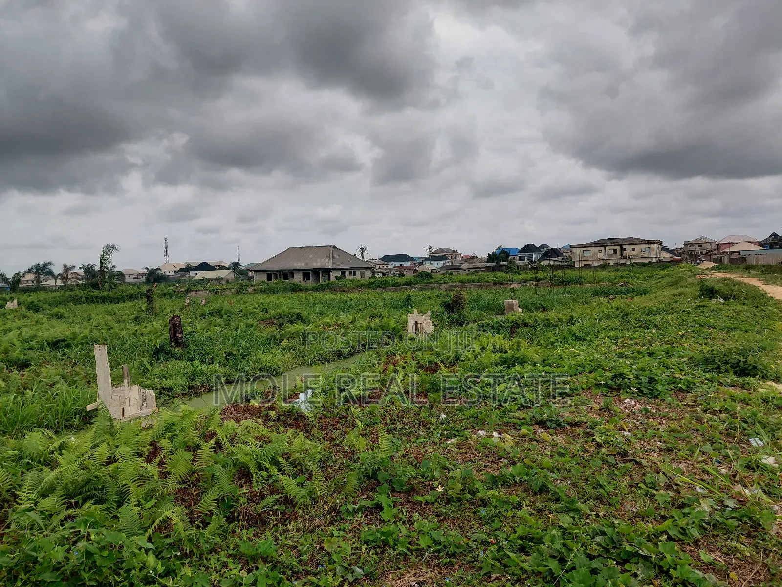 20 000 Acers of Mixed Farmland Ogun State