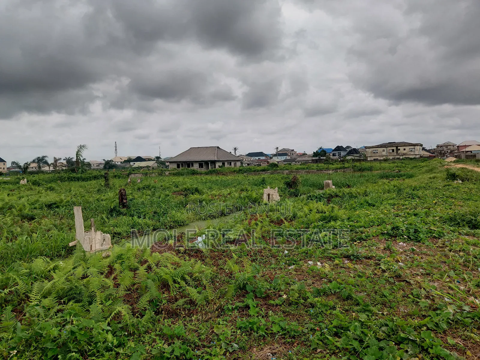 20 000 Acers of Mixed Farmland Ogun State