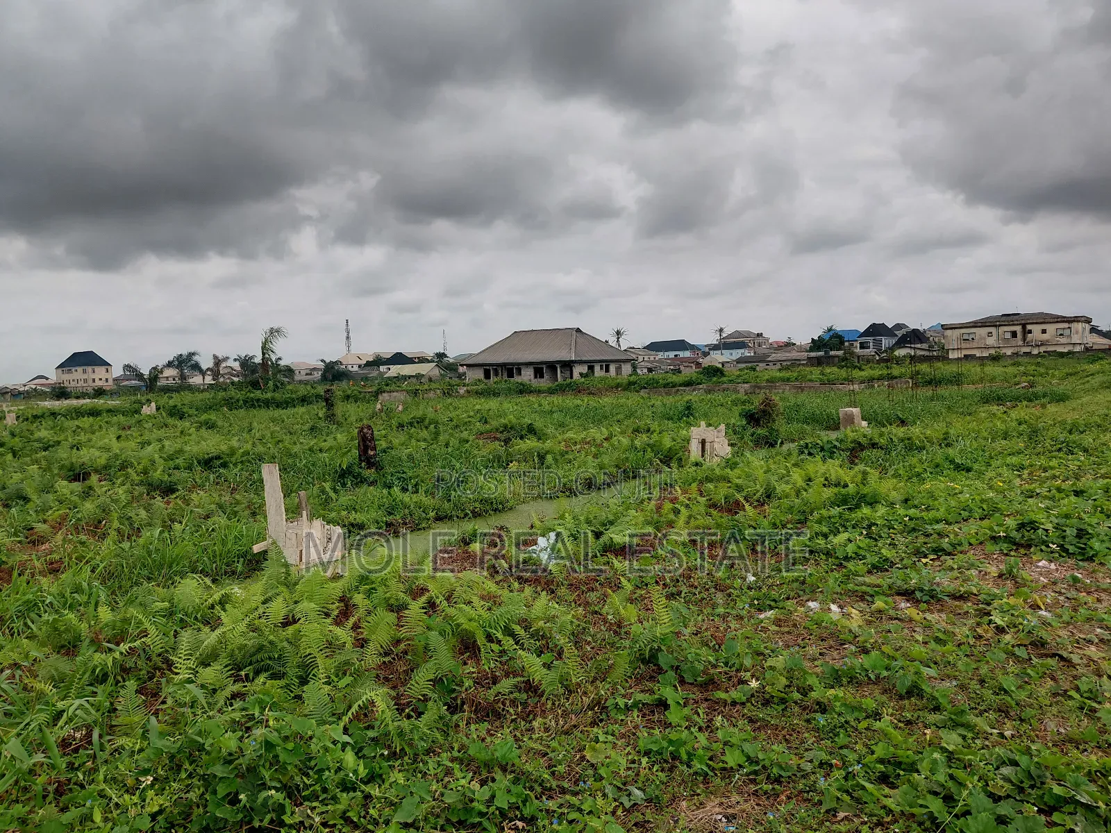 20 000 Acers of Mixed Farmland Ogun State