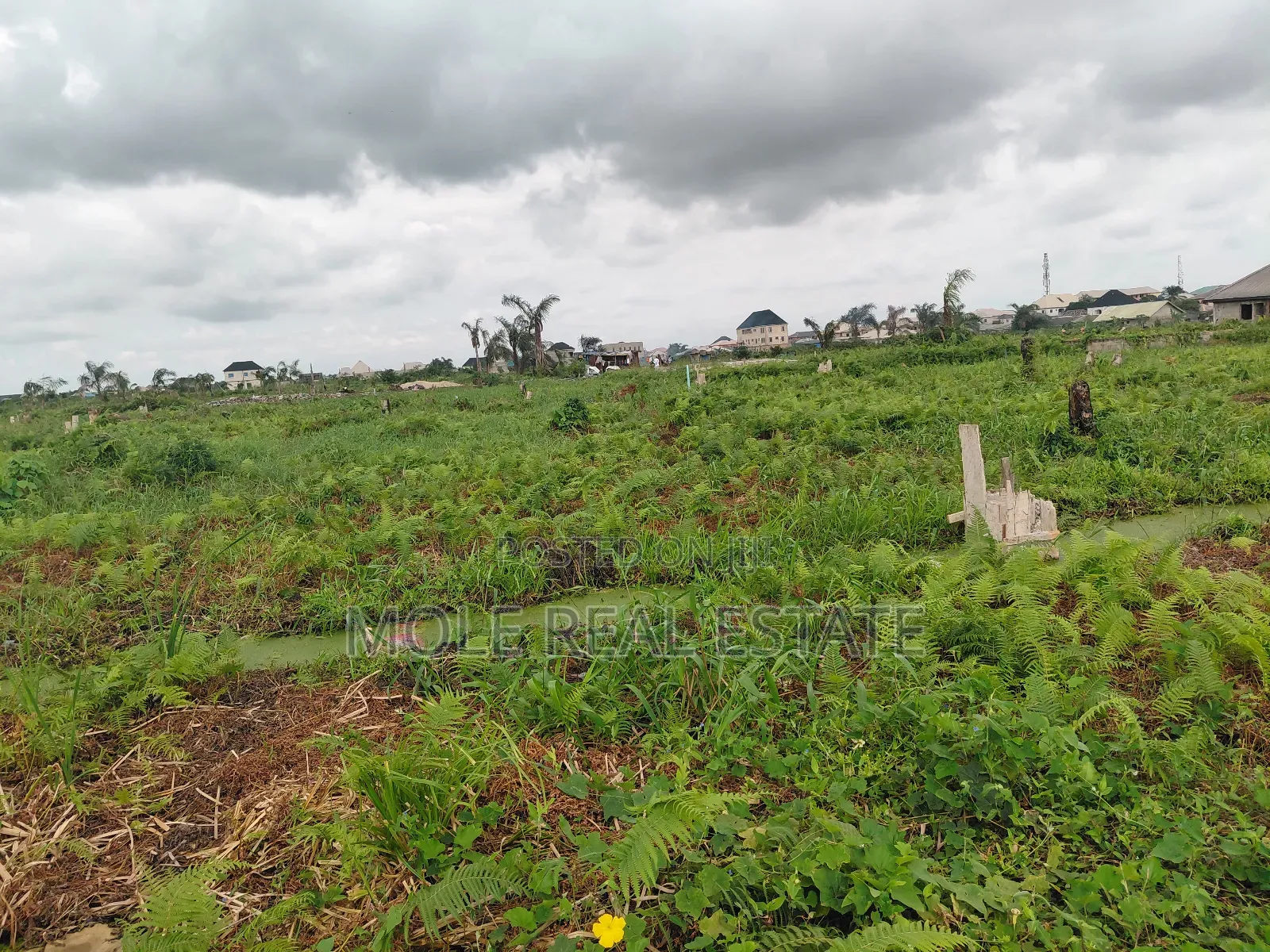 20 000 Acers of Mixed Farmland Ogun State