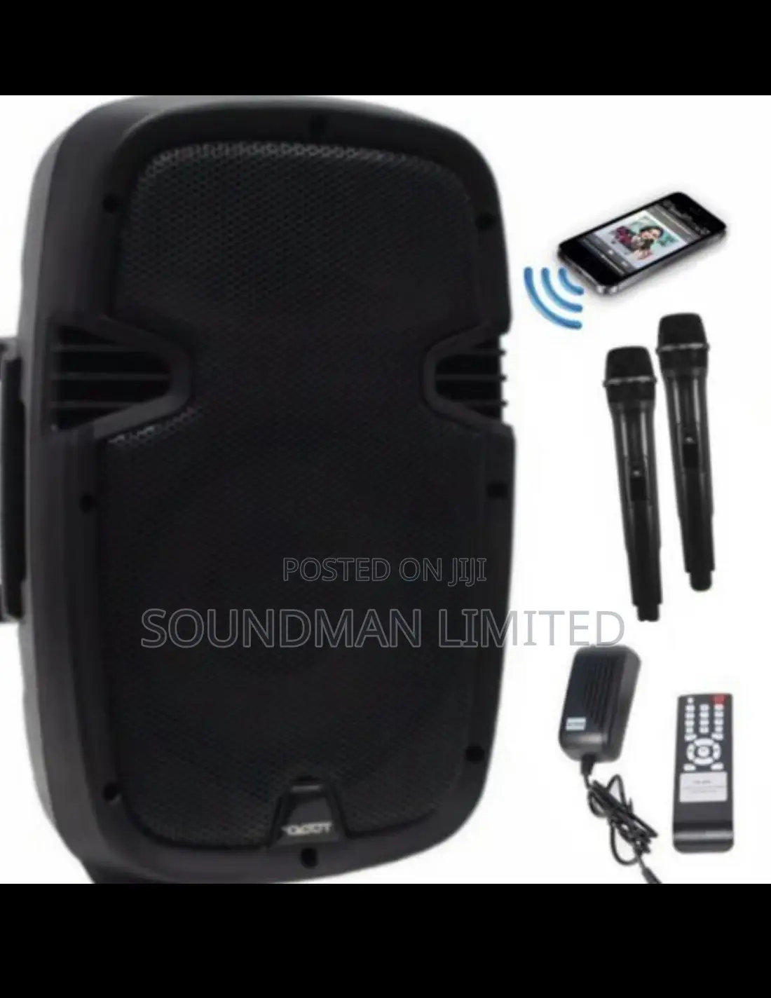 Worldking 8” Inches Rechargeable Public Address System Speaker, 2 Mic