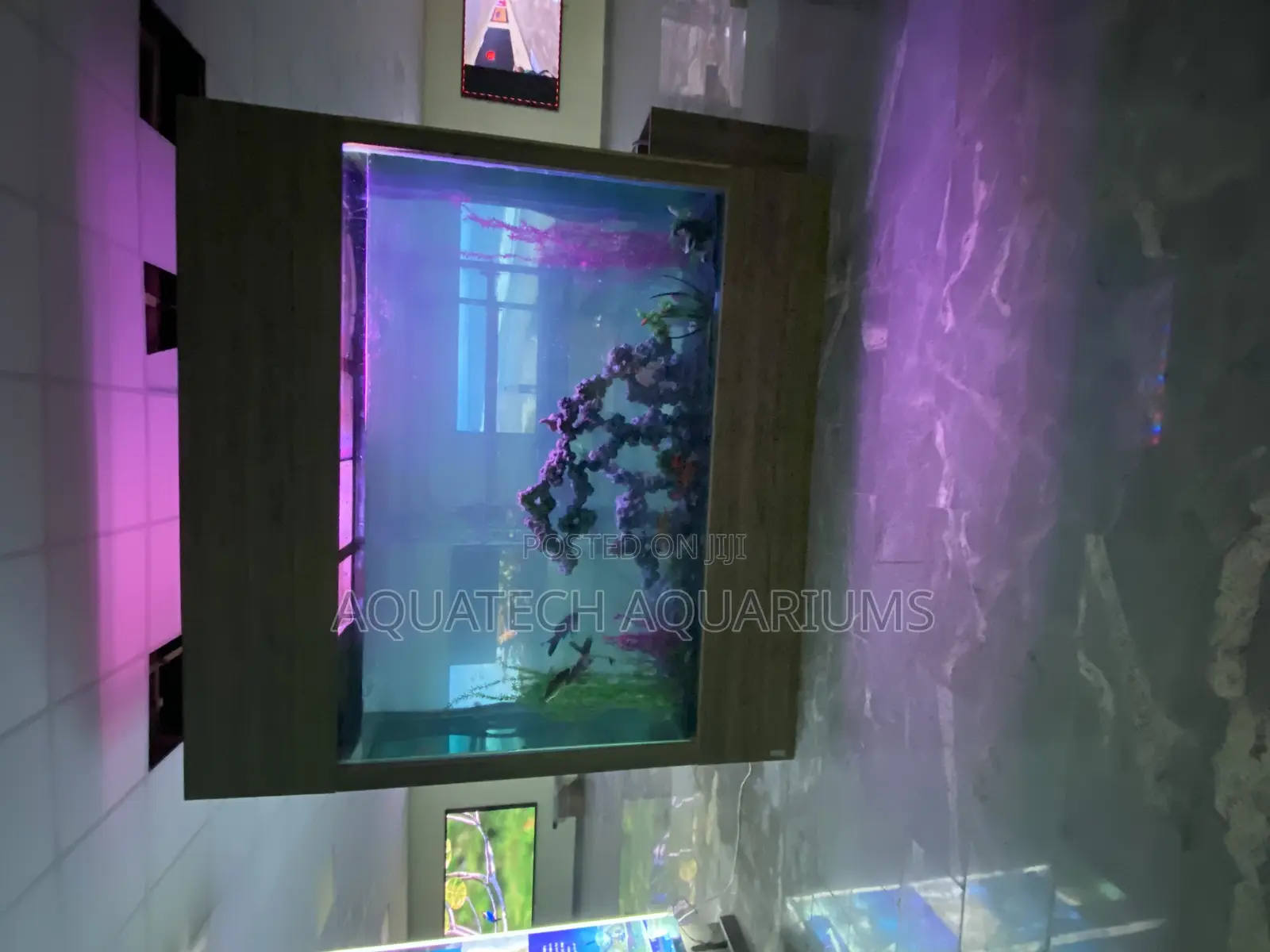 Massive Aquarium Tank