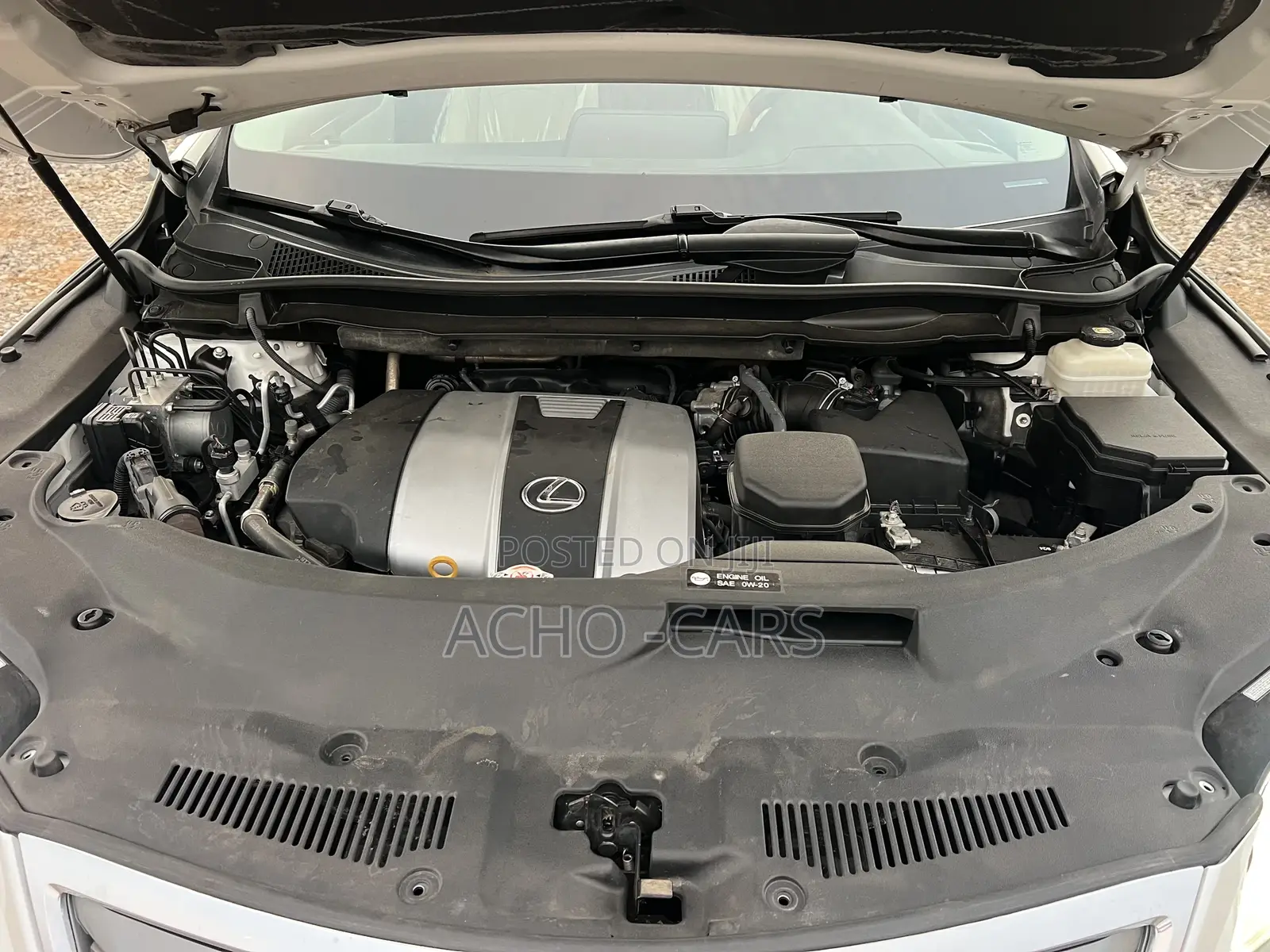 Lexus RX 2019 White