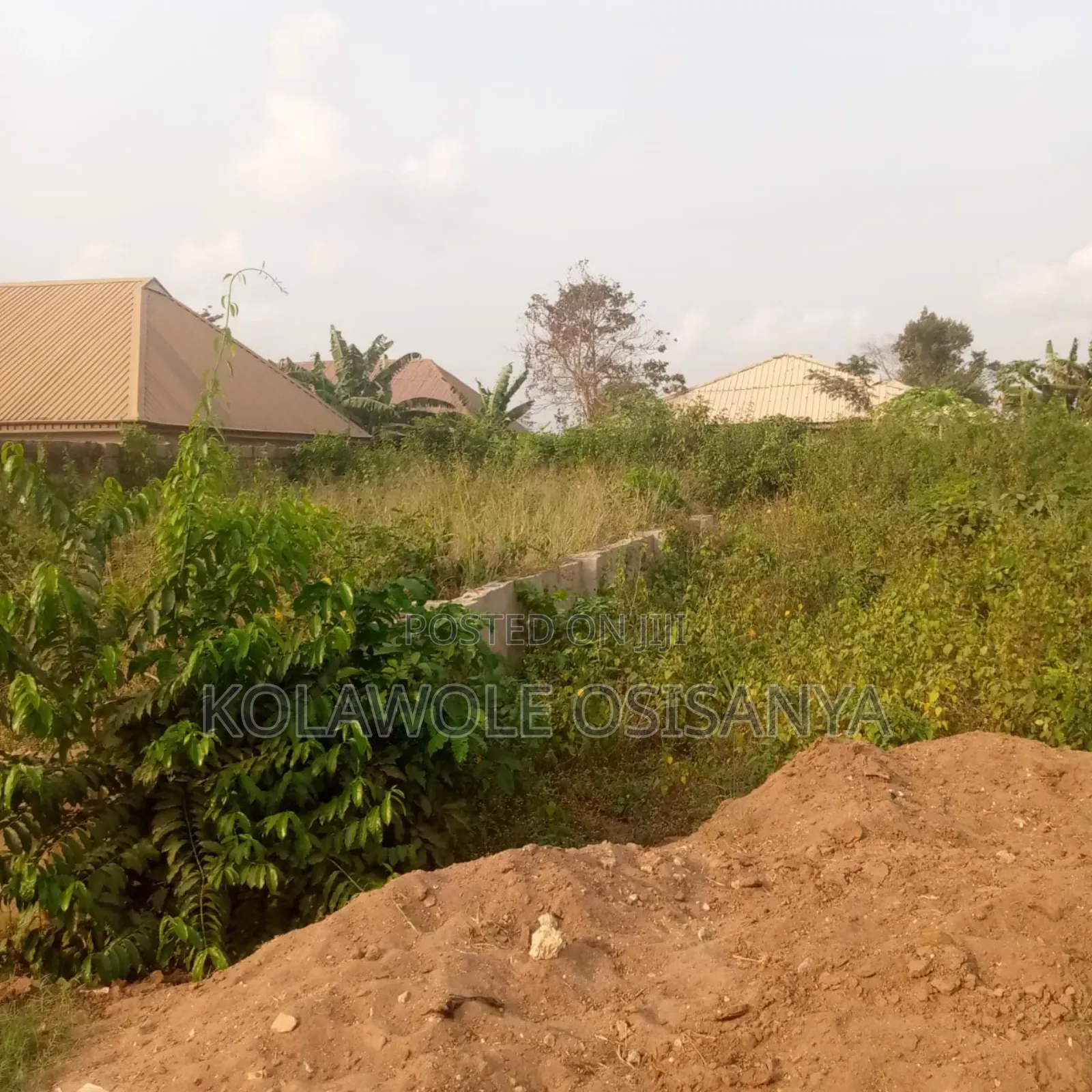 Quater Plot Measuring 30ft by 60ft