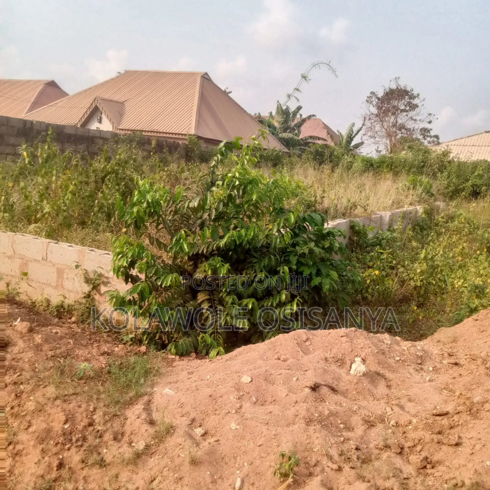 Quater Plot Measuring 30ft by 60ft