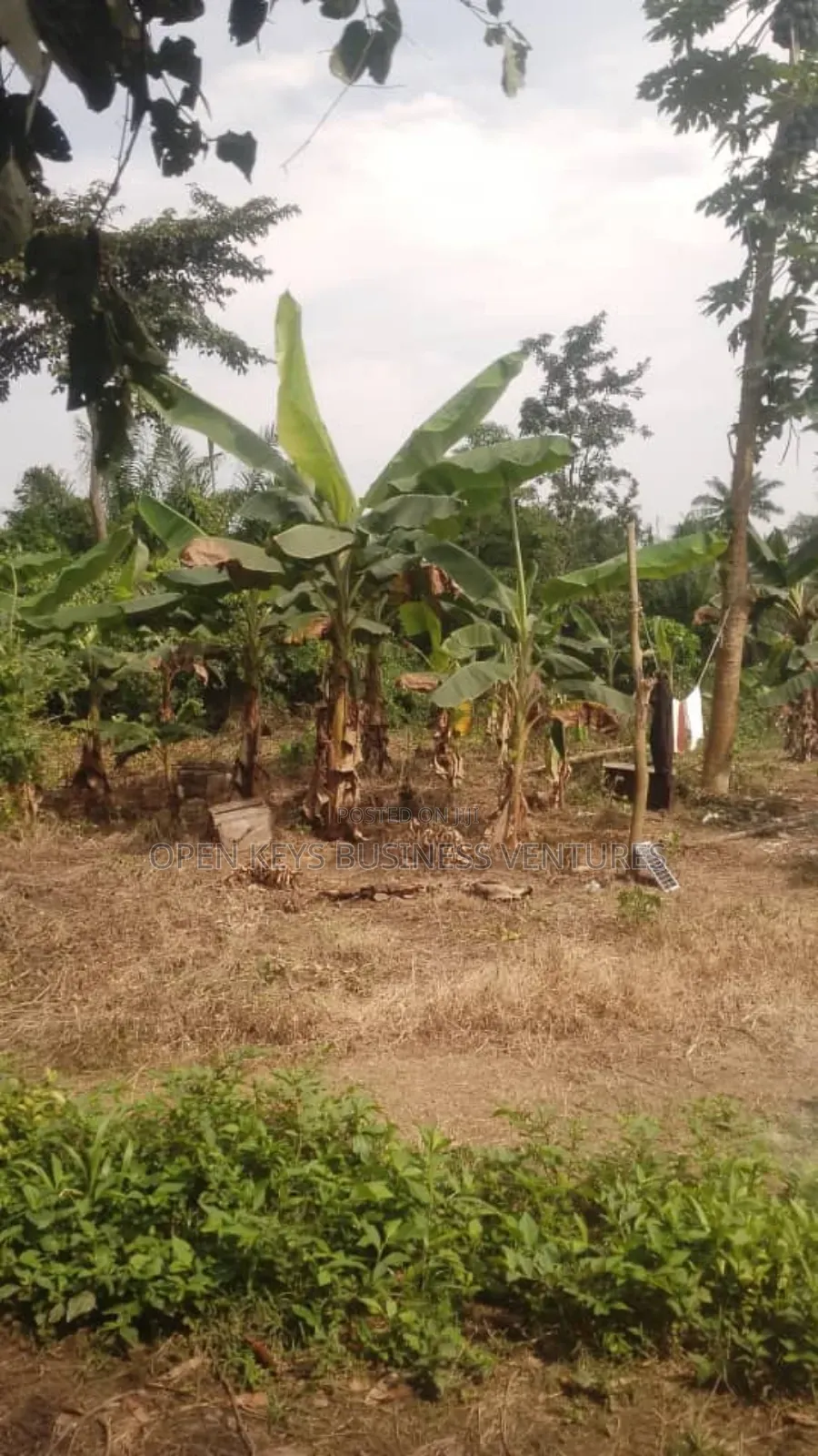 A Poultry Farm on 1 Acre of Land at Abudoro Olorunda Abaa,Ibadan
