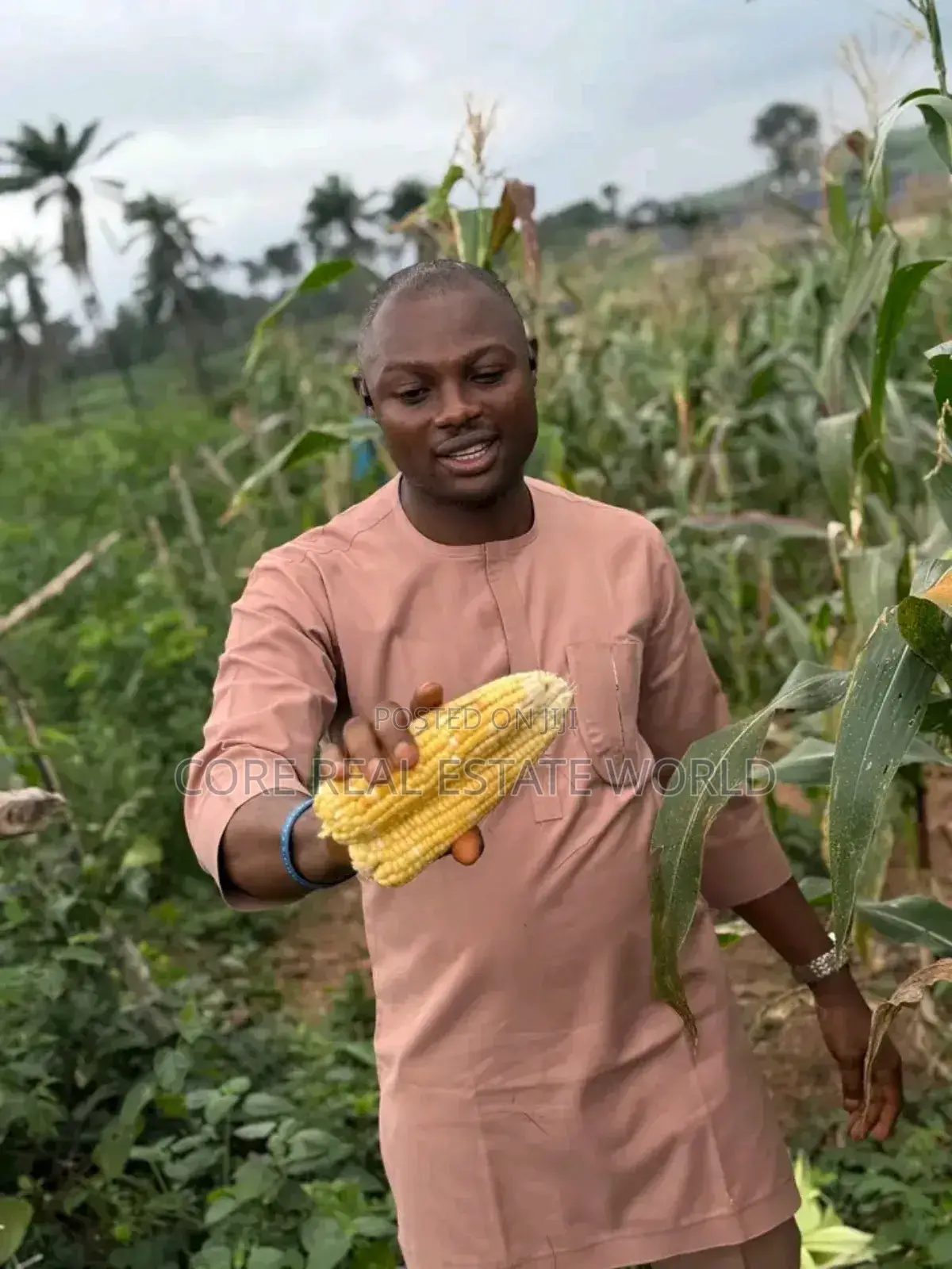 Largest Farm Estate in Africa, Ogun, Products Is Has Been Going On