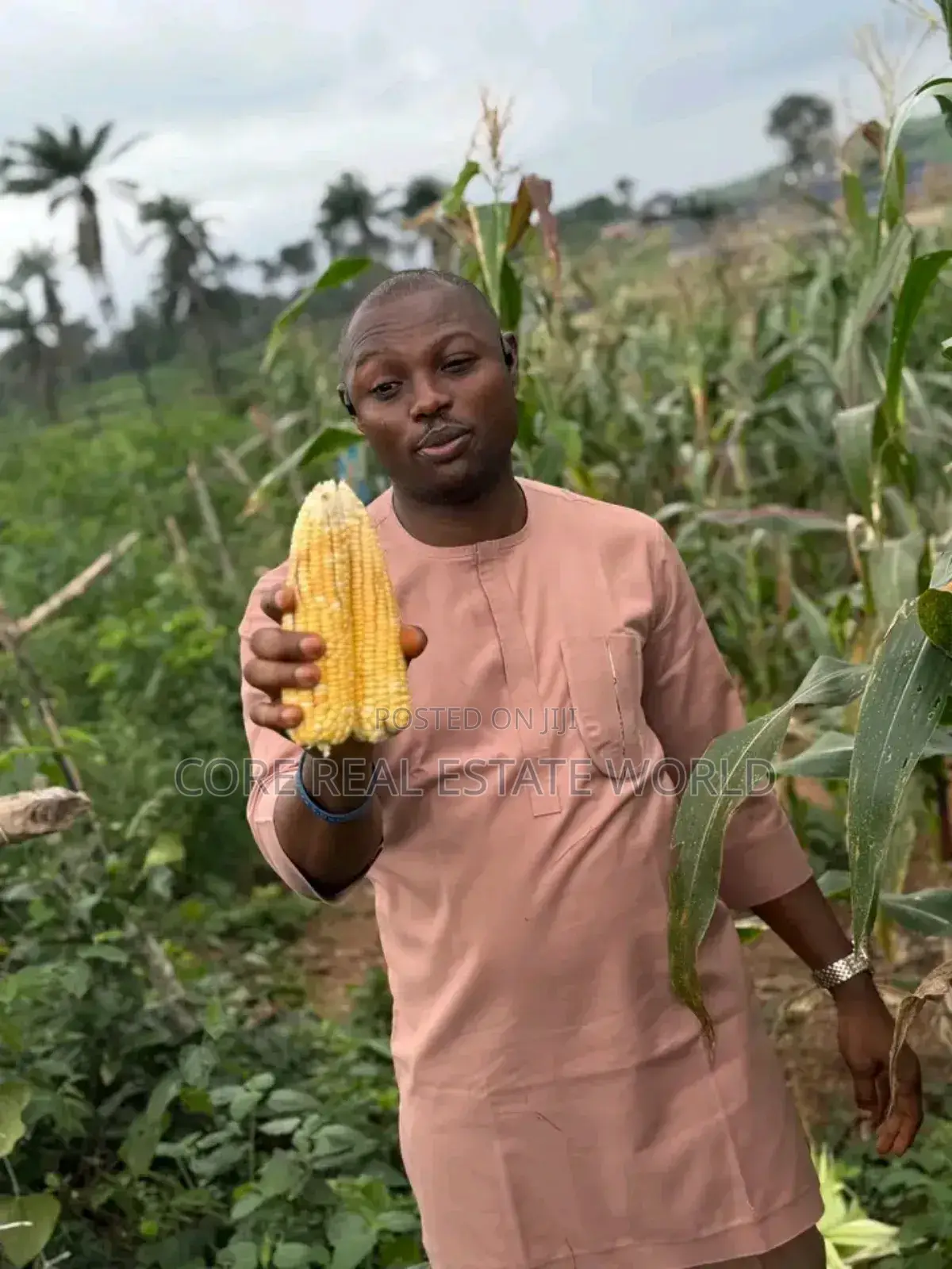 Largest Farm Estate in Africa, Ogun, Products Is Has Been Going On