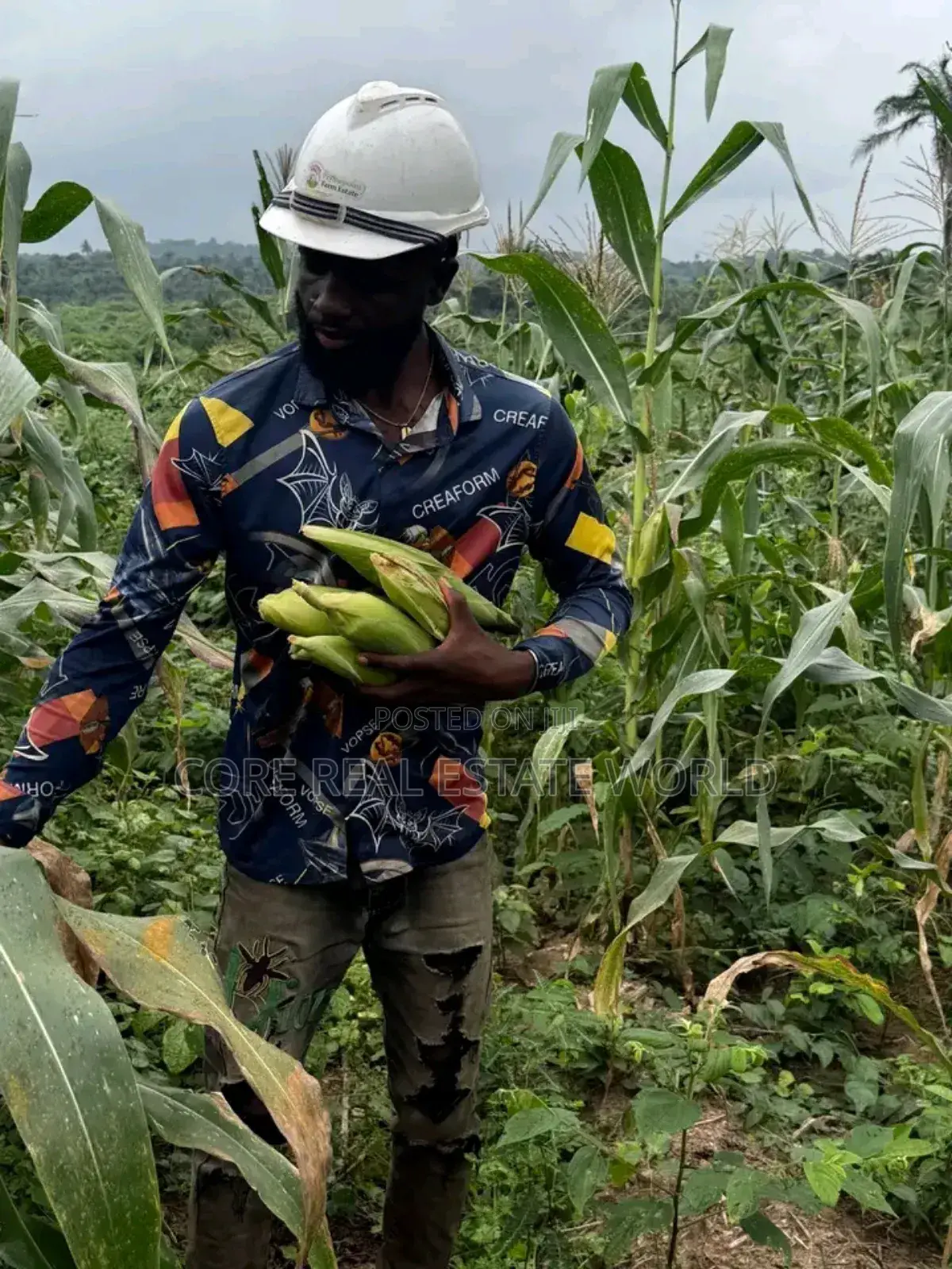 Largest Farm Estate in Africa, Ogun, Products Is Has Been Going On