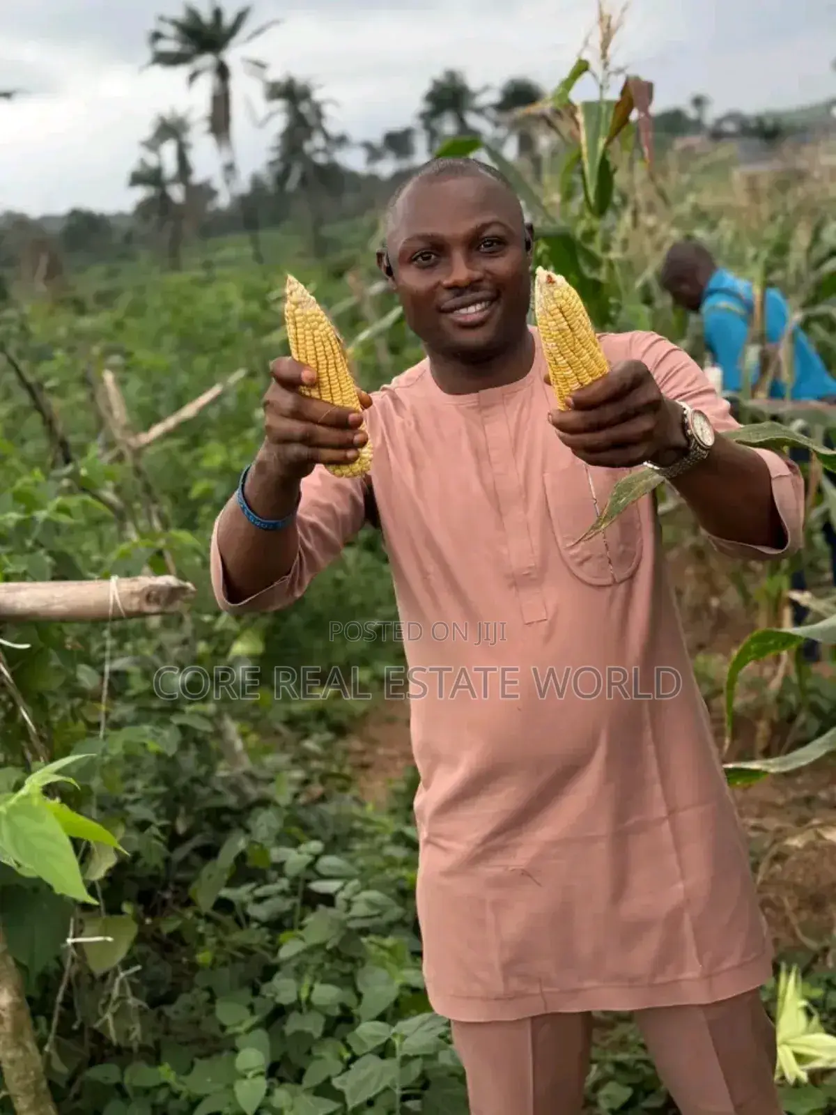 Very Fetile Farm Estate Land