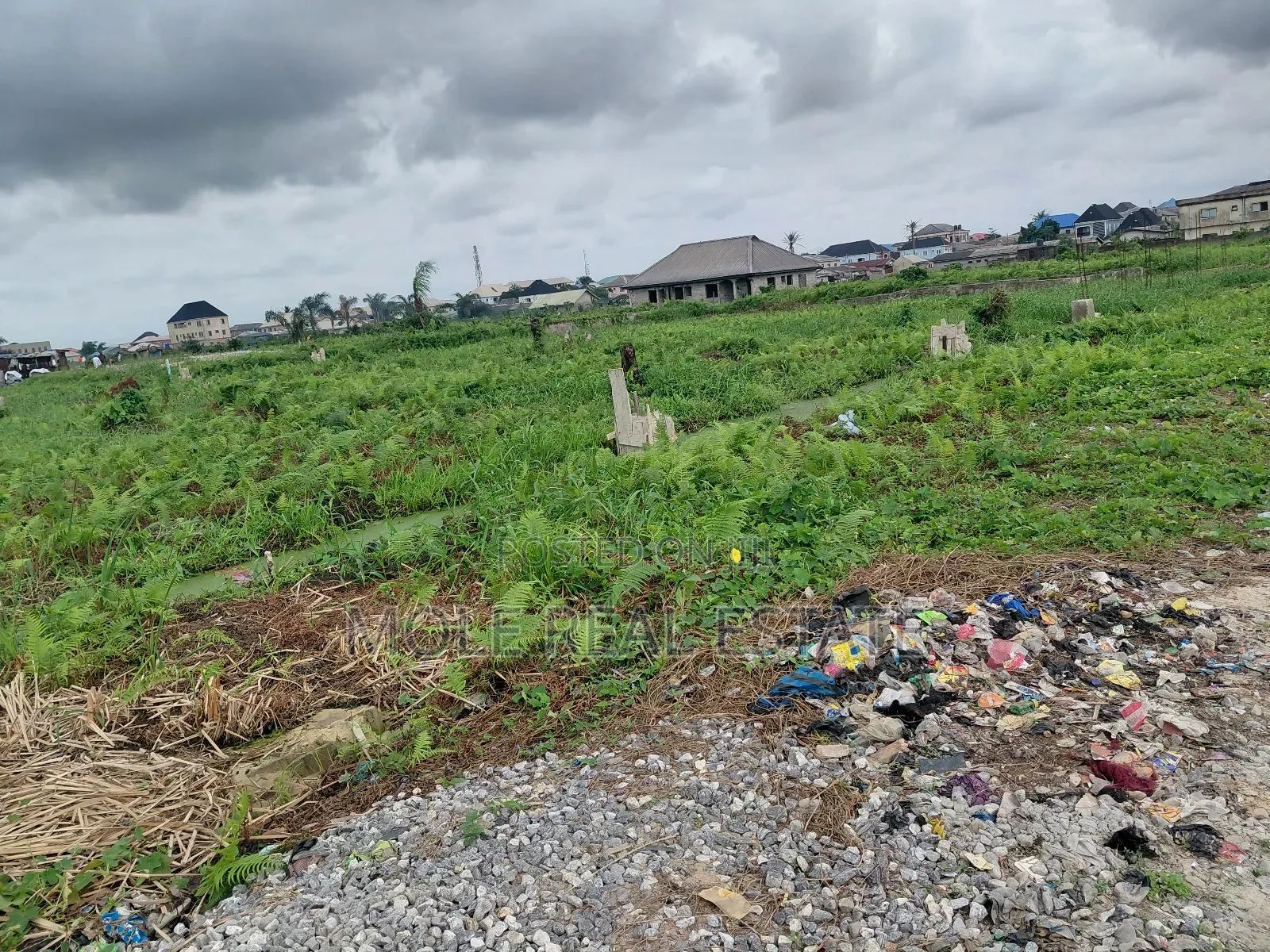 5000 Acres of Mixed Farmland Loloko Ogun State