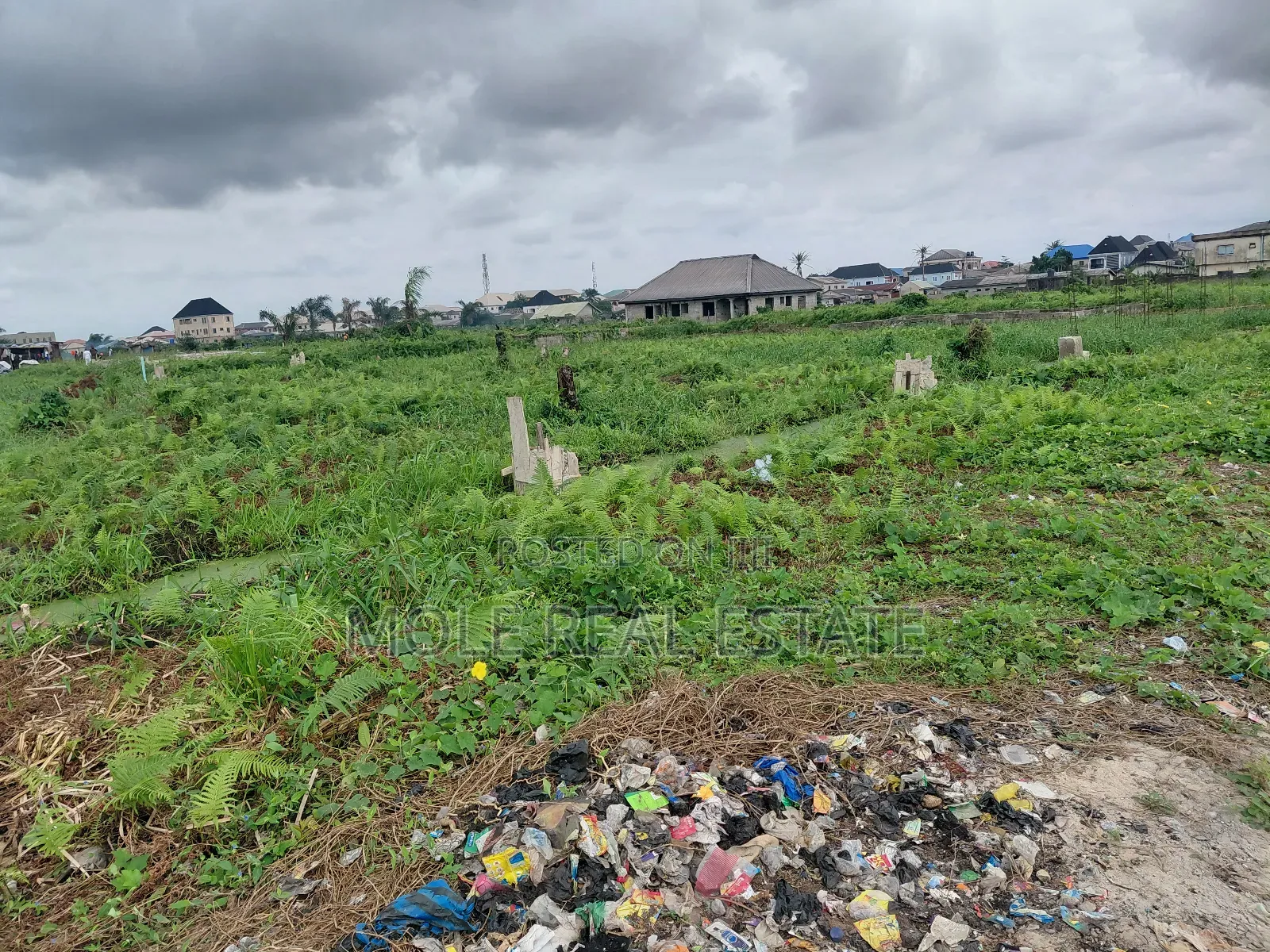 5000 Acres of Mixed Farmland Loloko Ogun State