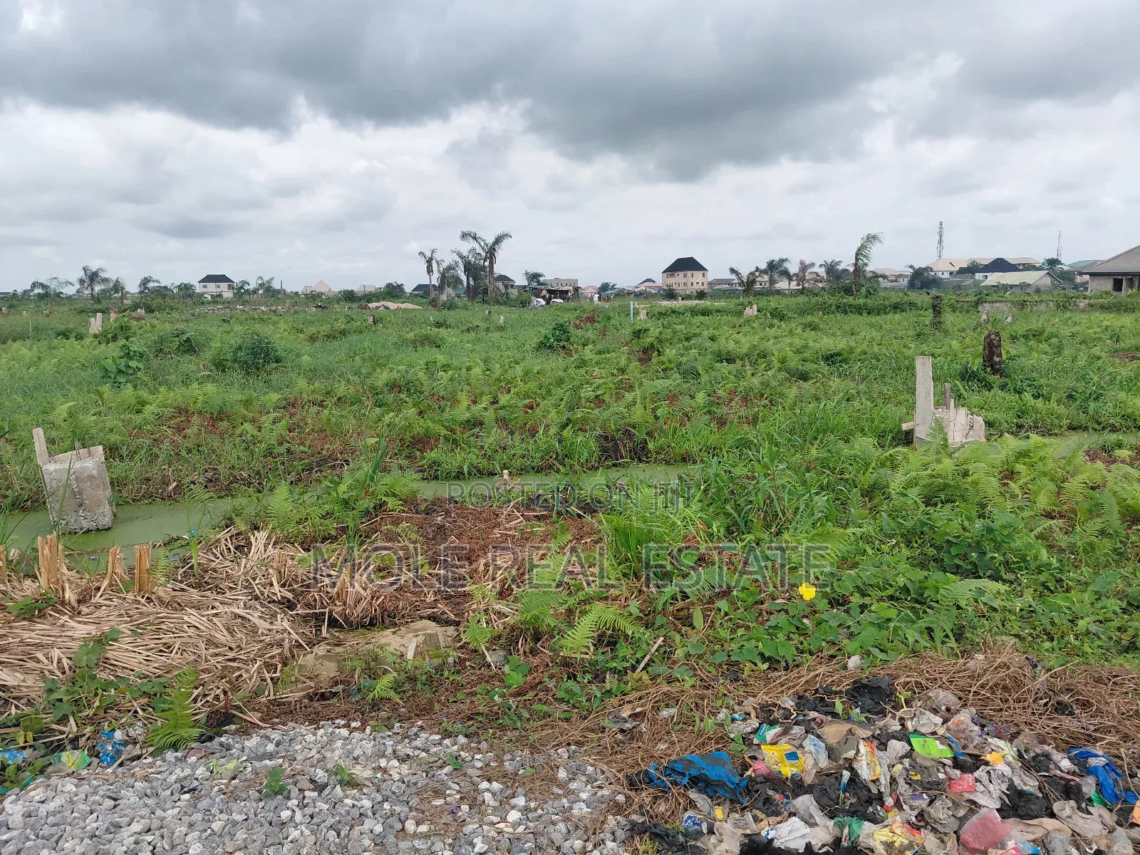 5000 Acres of Mixed Farmland Loloko Ogun State