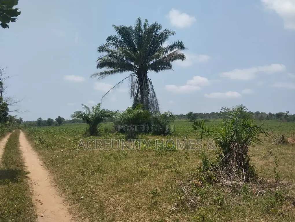 100 Acres of Fertile Farmland – Okeho, Kajola Local Govt Oyo State