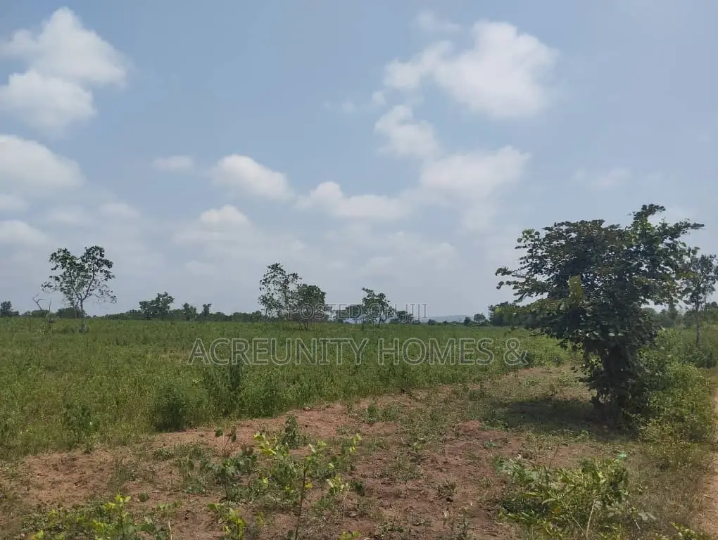 100 Acres of Fertile Farmland – Okeho, Kajola Local Govt Oyo State