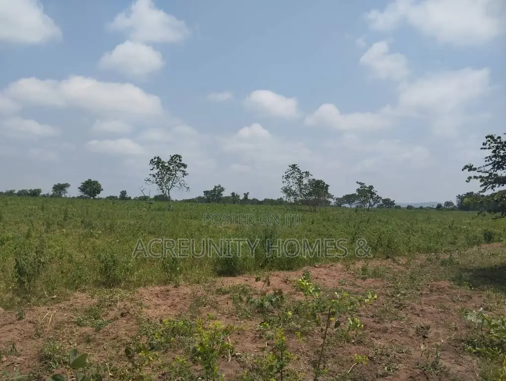 100 Acres of Fertile Farmland – Okeho, Kajola Local Govt Oyo State