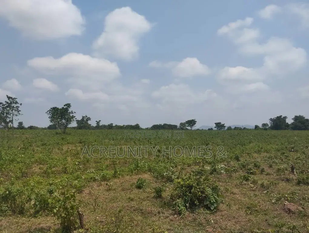 100 Acres of Fertile Farmland – Okeho, Kajola Local Govt Oyo State