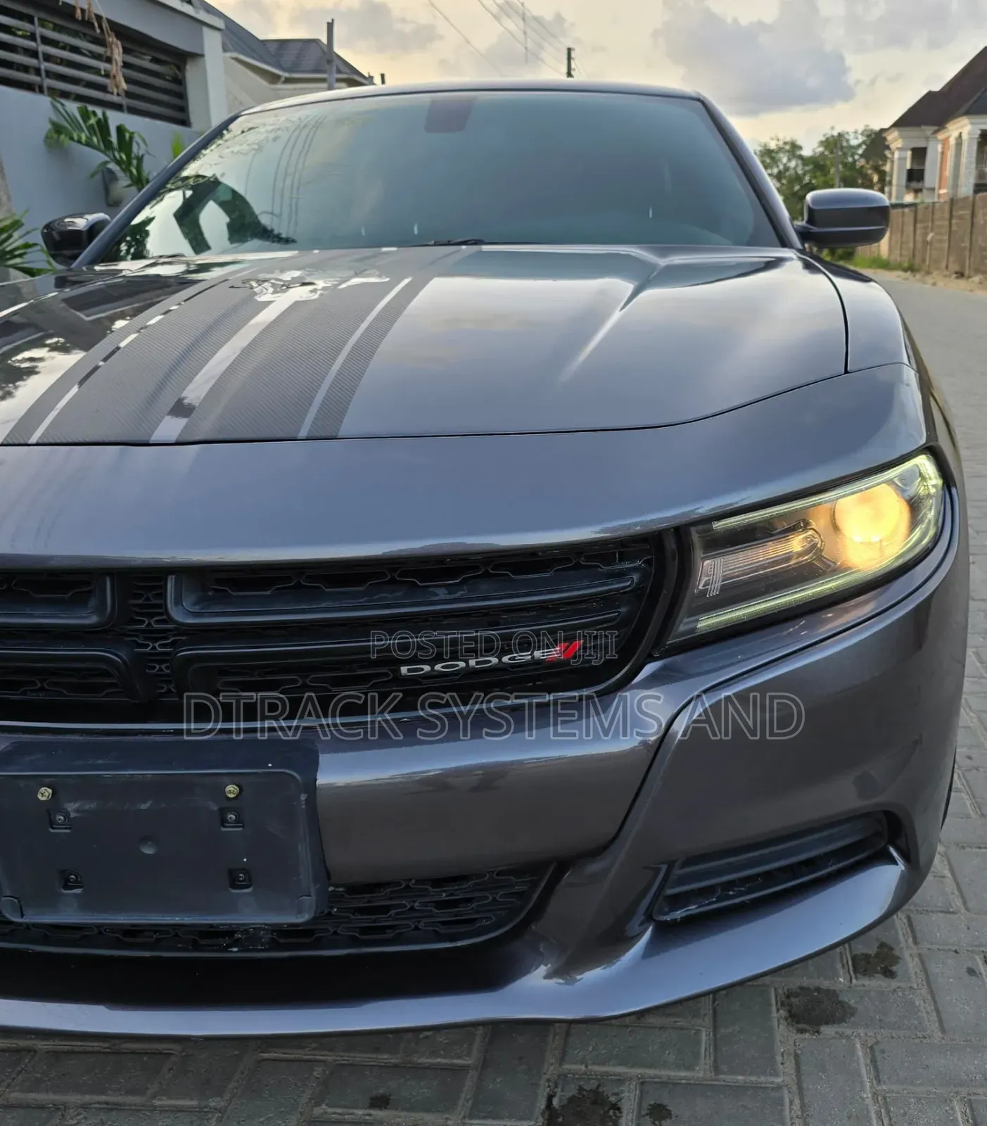 Dodge Charger SXT AWD 2019 Gray