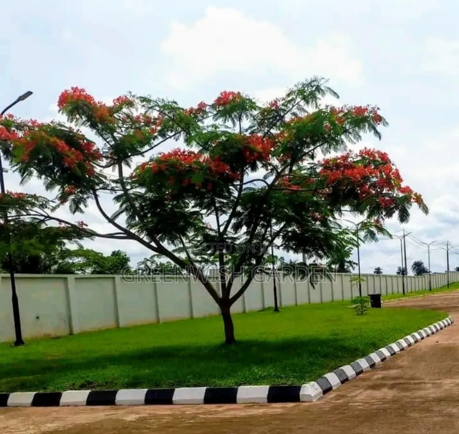 Garden, Landscaping and Horticulture
