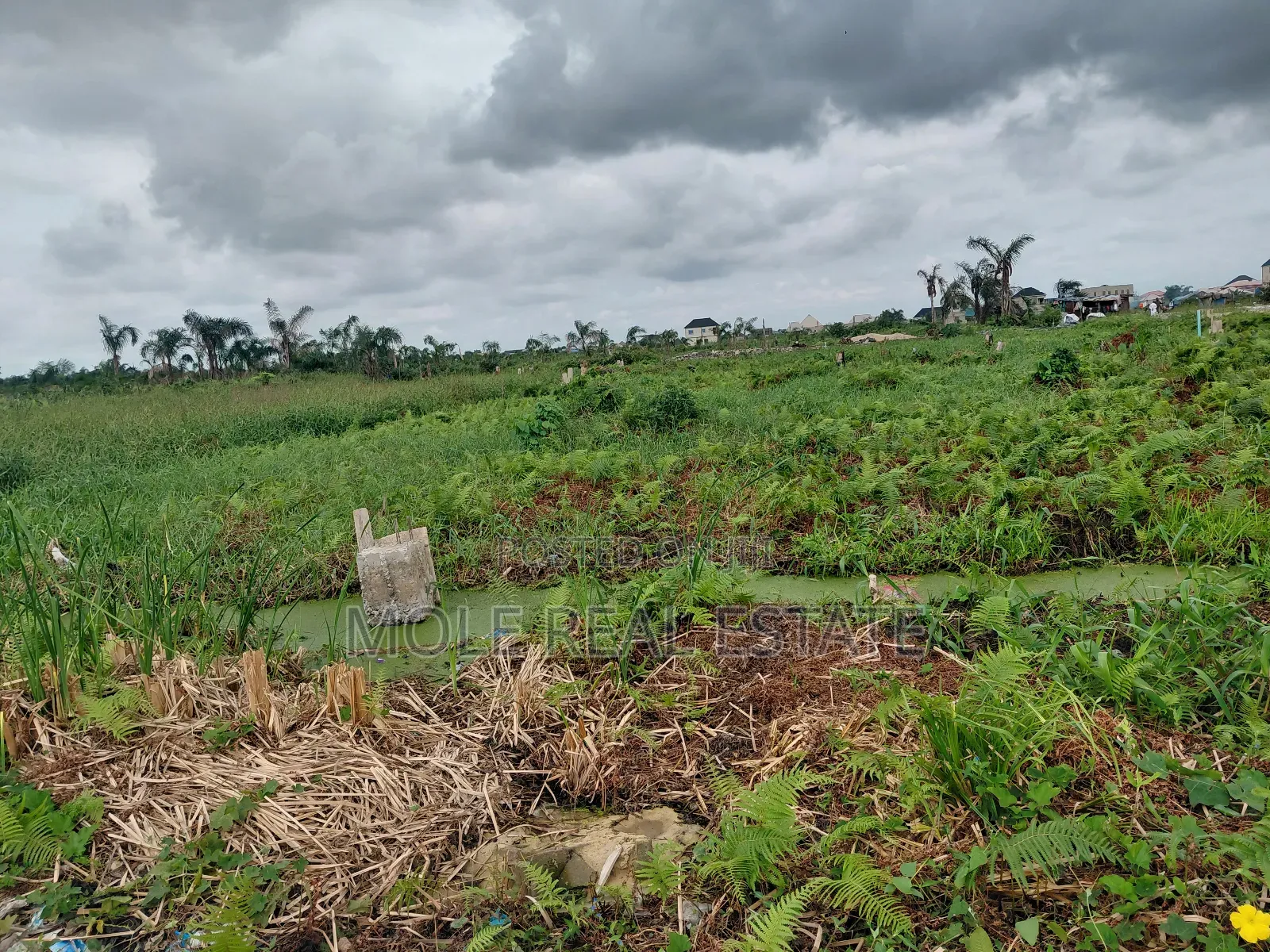 Quater Plot Ikotun Iguando Road Close to Bustop