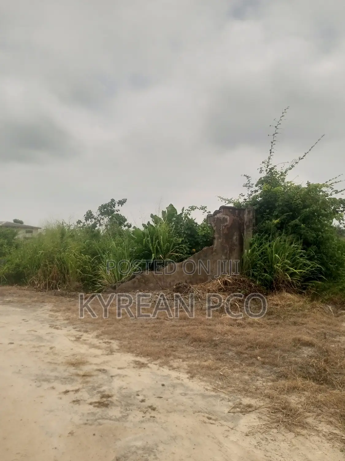 20 Acres of Dry Land