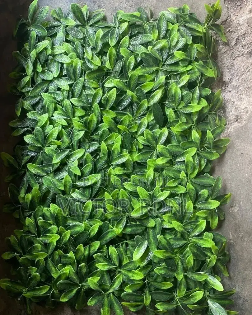 Super Cool Green Flower Mat Plant