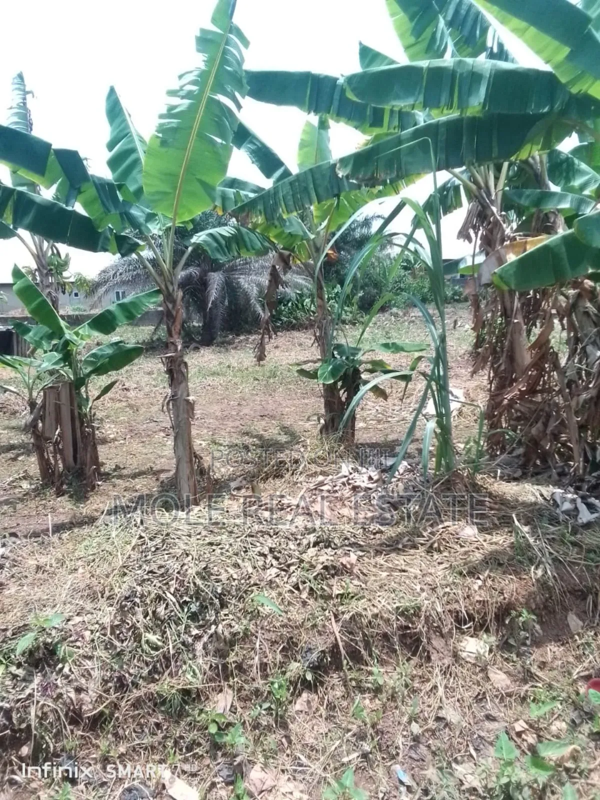 2 Plots of Land Akenson Near Iguando With Foundation