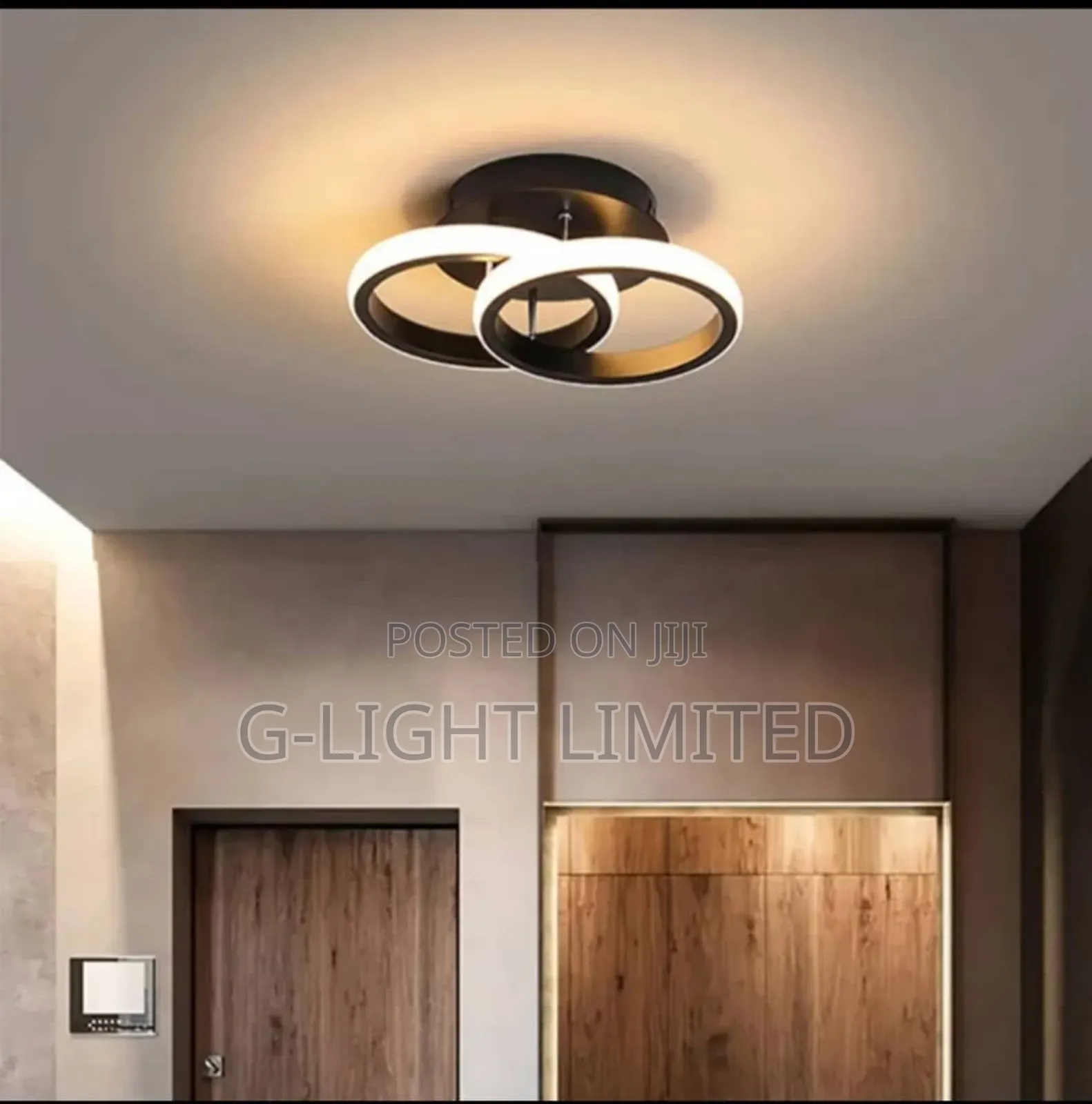 Ceiling Light
