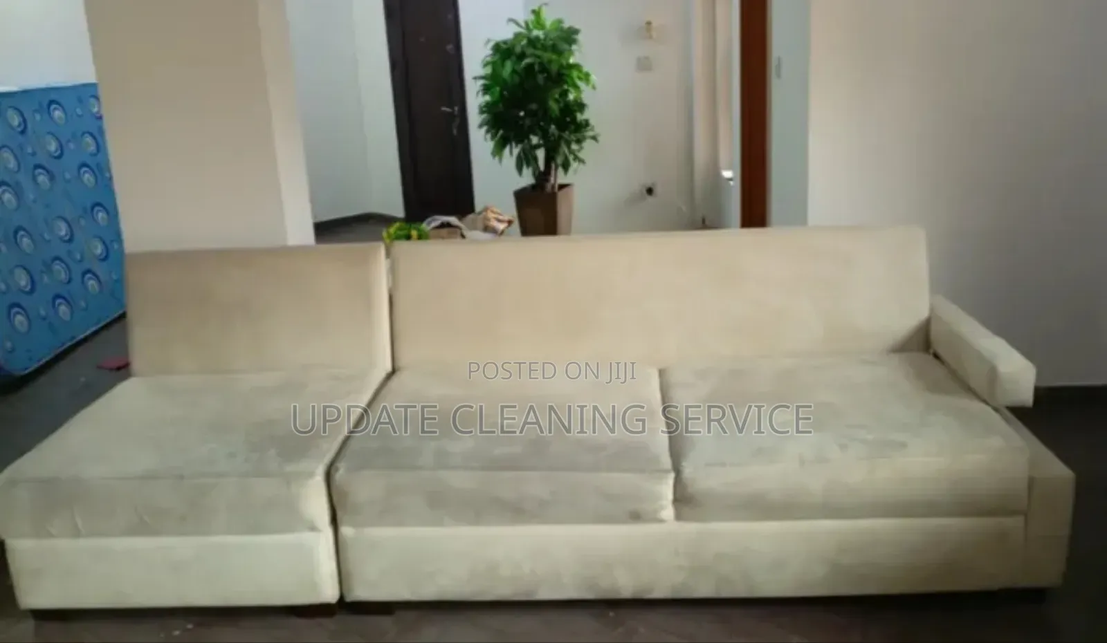 Book Premium Cleaning Fumigation Services– Affordable Professional
