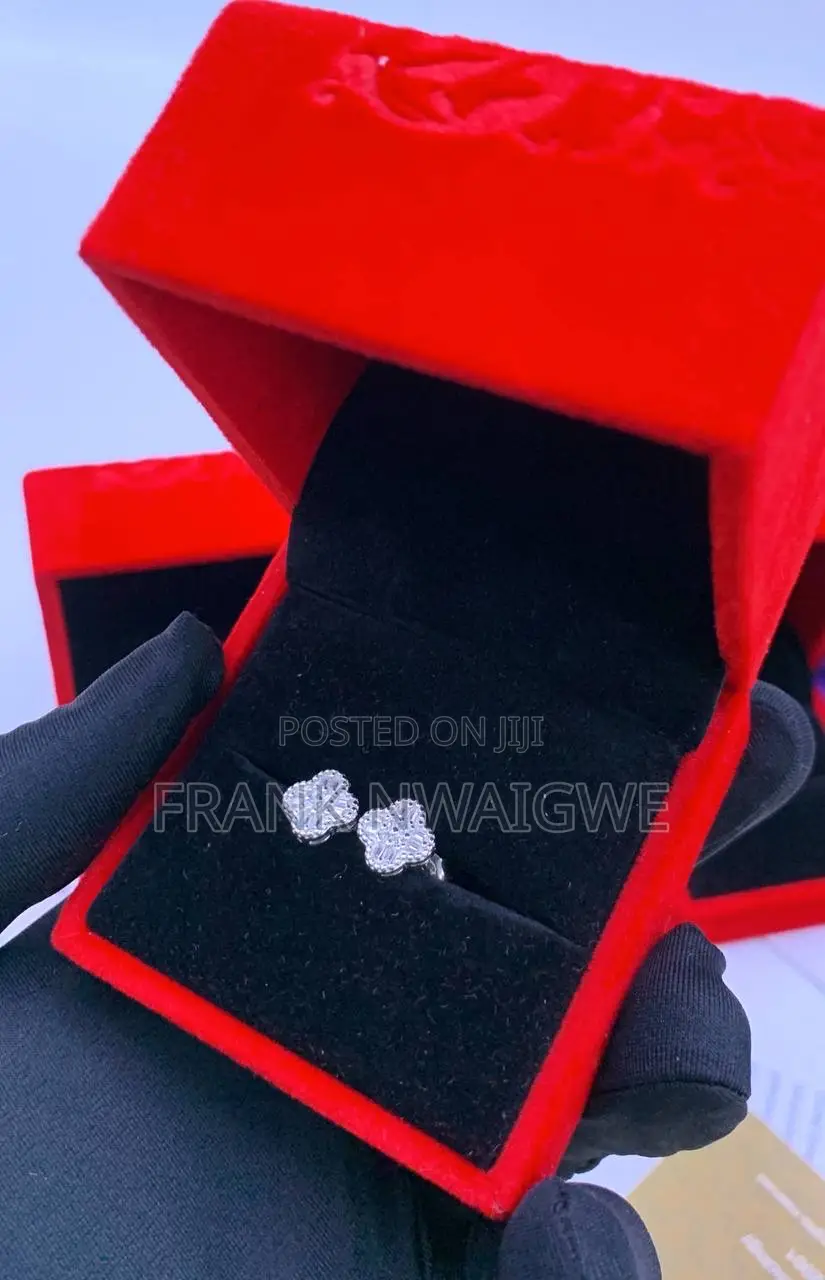 1 Ct Moissanite Premium Earrings