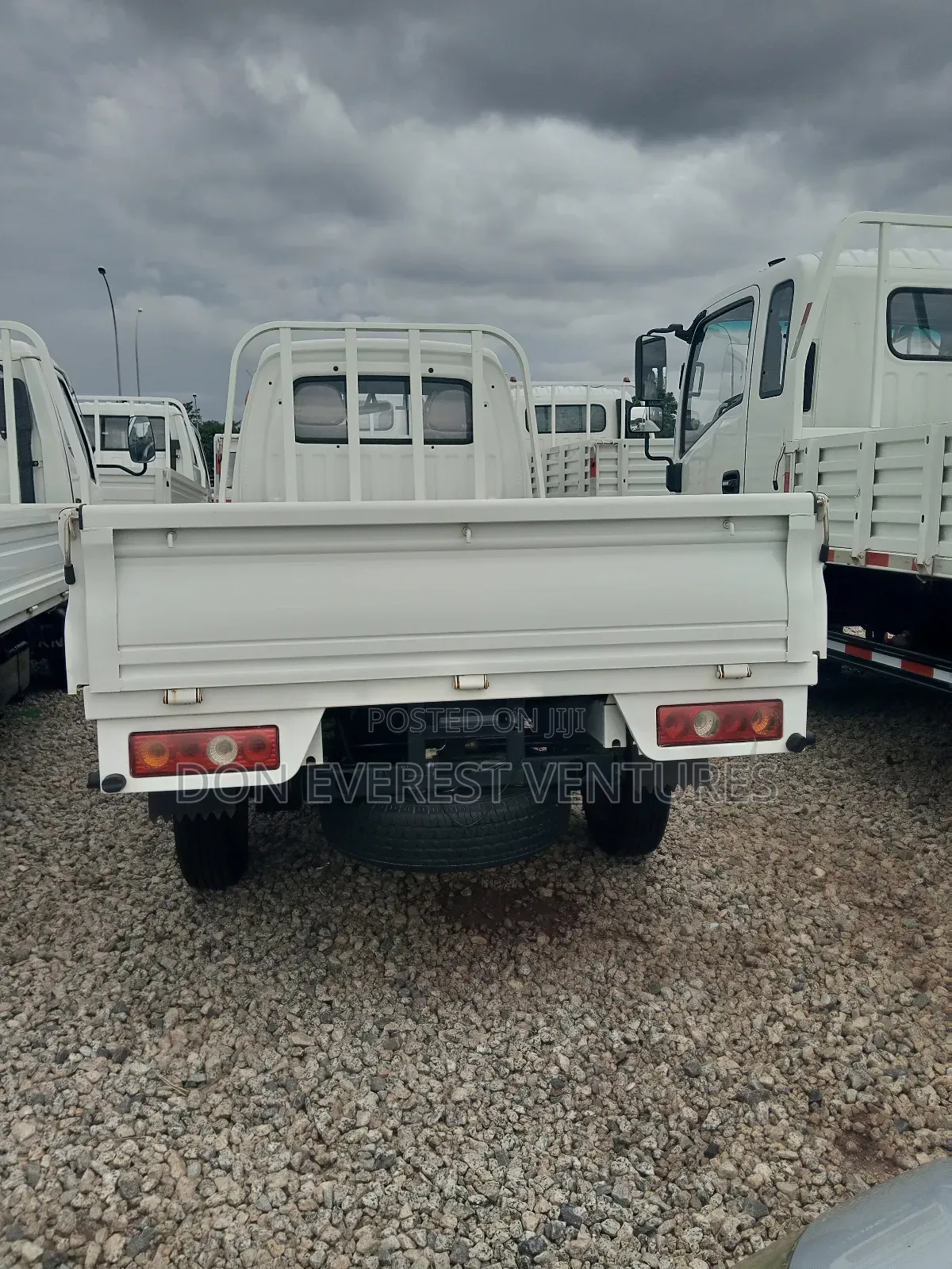 T King Truck 2024 White
