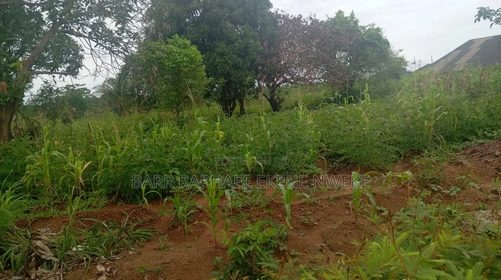 30 Plots of Land for Sale