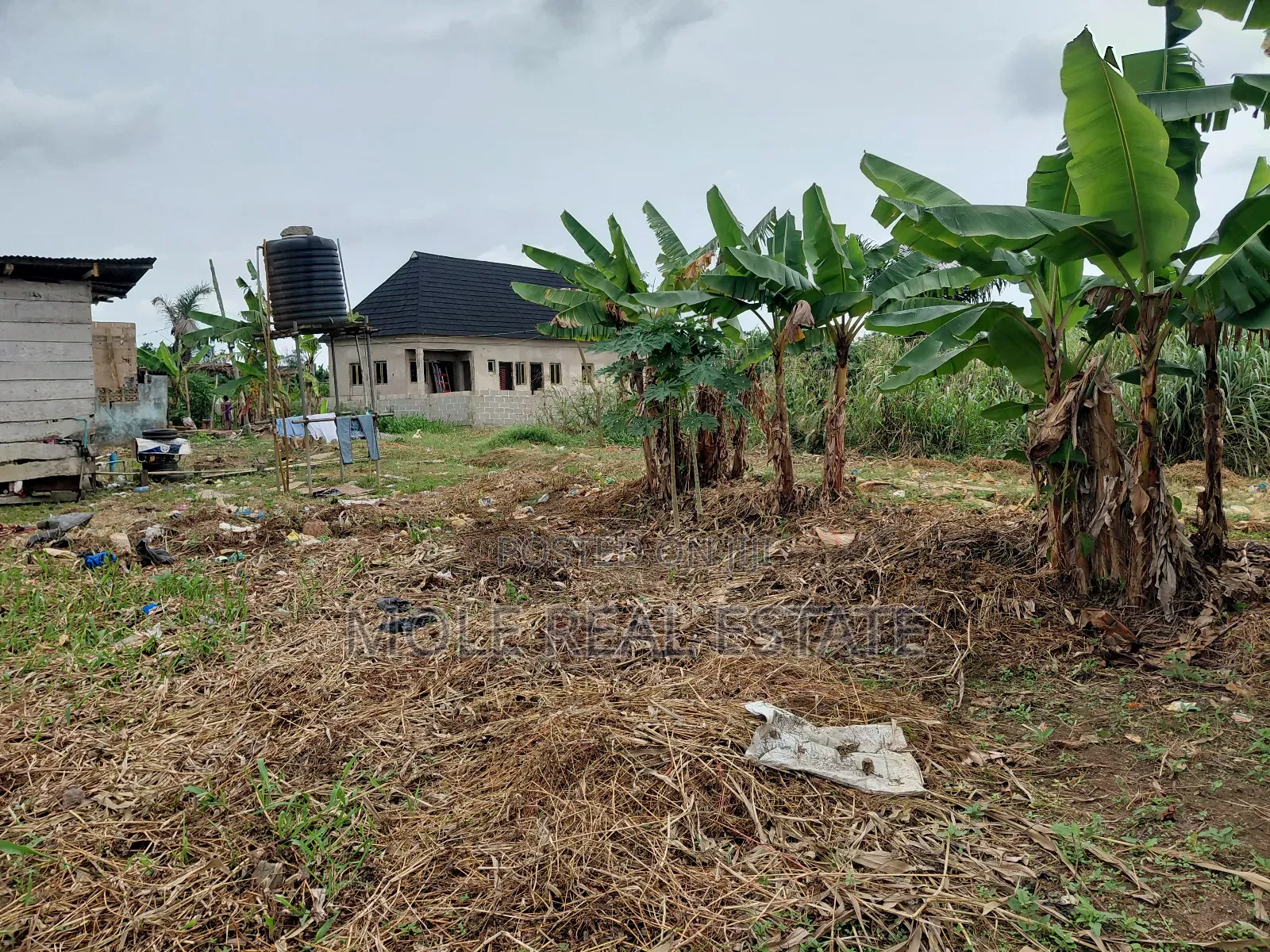 2 Full Dry Plots Opp Adexon Ilado by Value Paint Iguando Alimosho