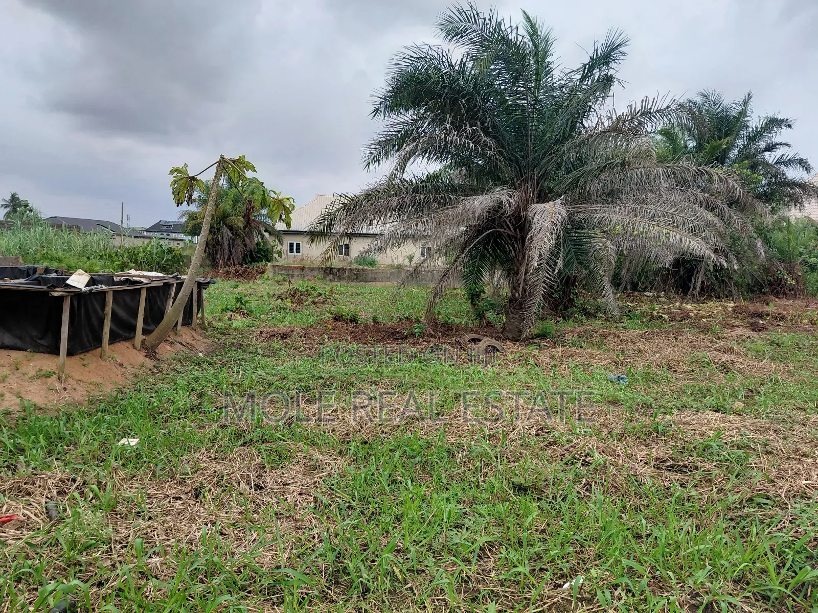2 Full Dry Plots Opp Adexon Ilado by Value Paint Iguando Alimosho